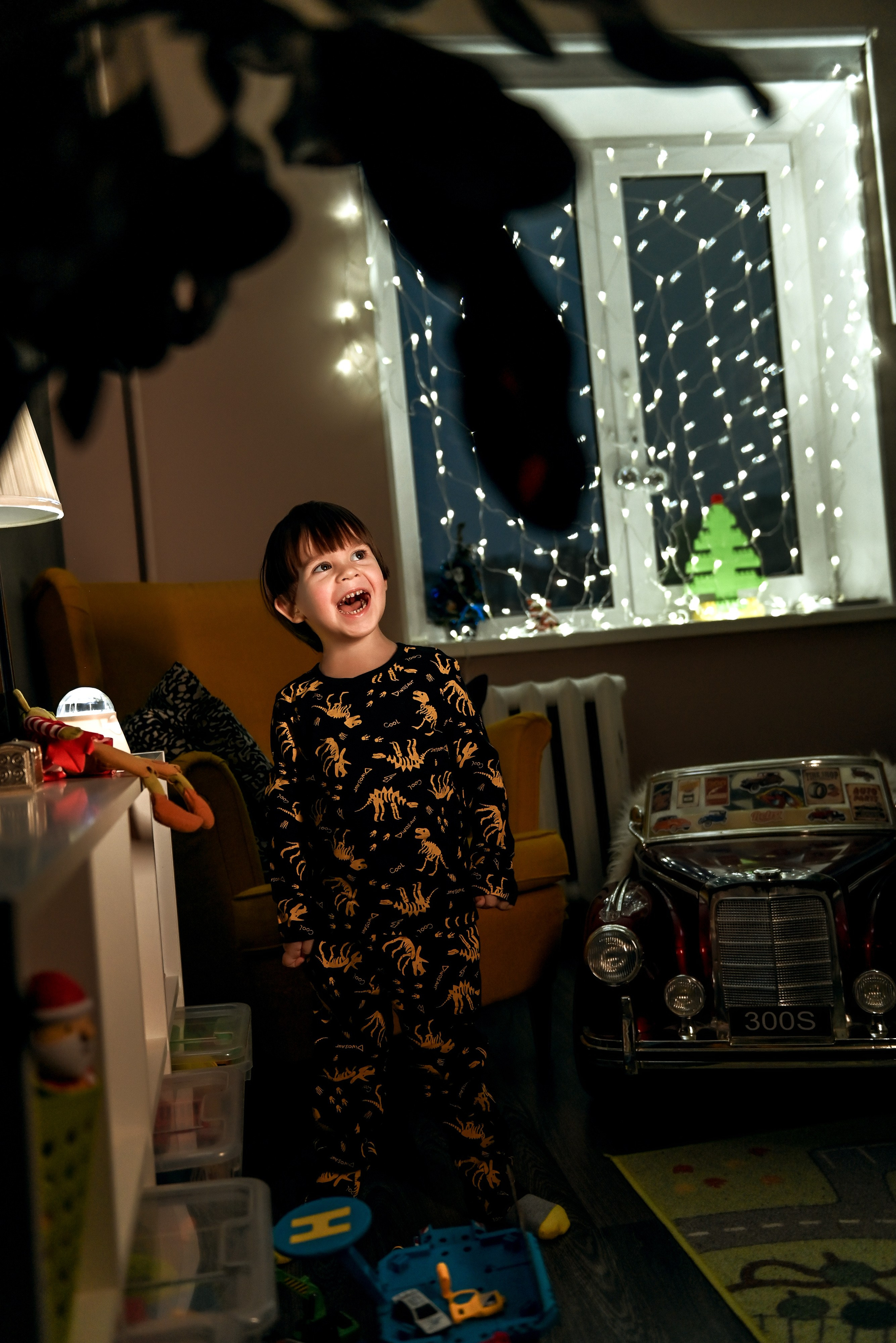 Домашняя новогодняя. Свадебный, семейный, детский, контент фотограф в Омске Максим Ильин