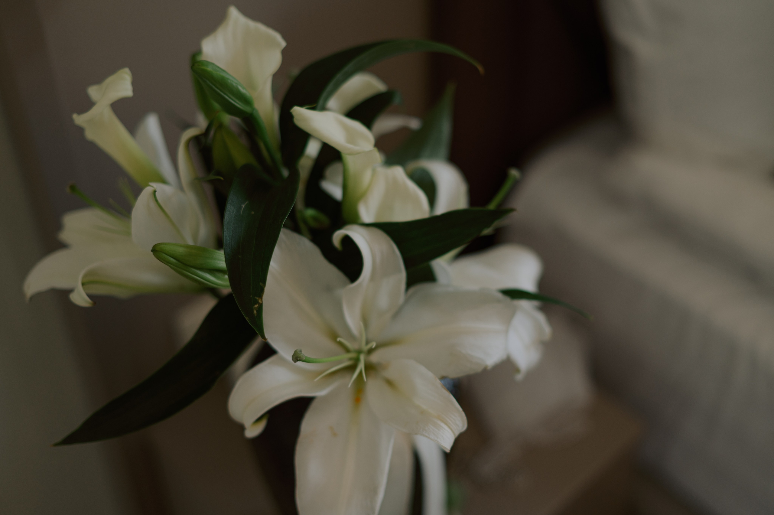 Арсений и Елена. Фотограф в Абакане и Минусинске