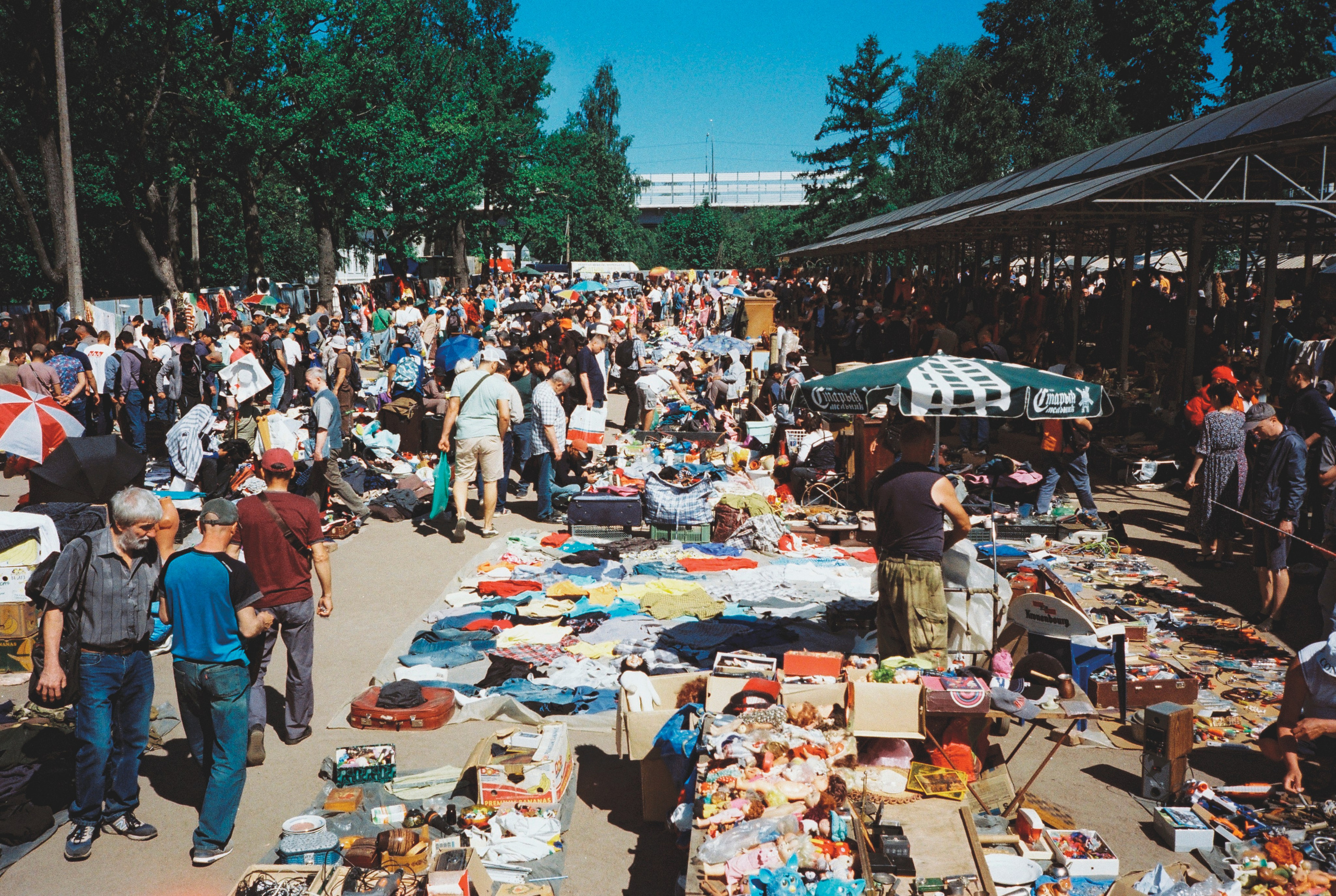 Фотографии цветные. Свадебный и семейный пленочный фотограф в Петербурге Истомина Ирина
