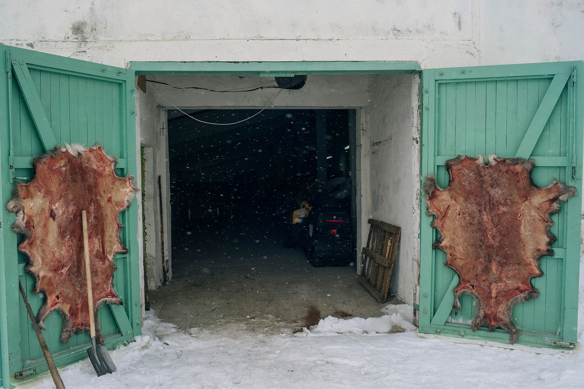 Кораль. На север к оленям. Репортажный фотограф в Сочи — Михаил Мордасов