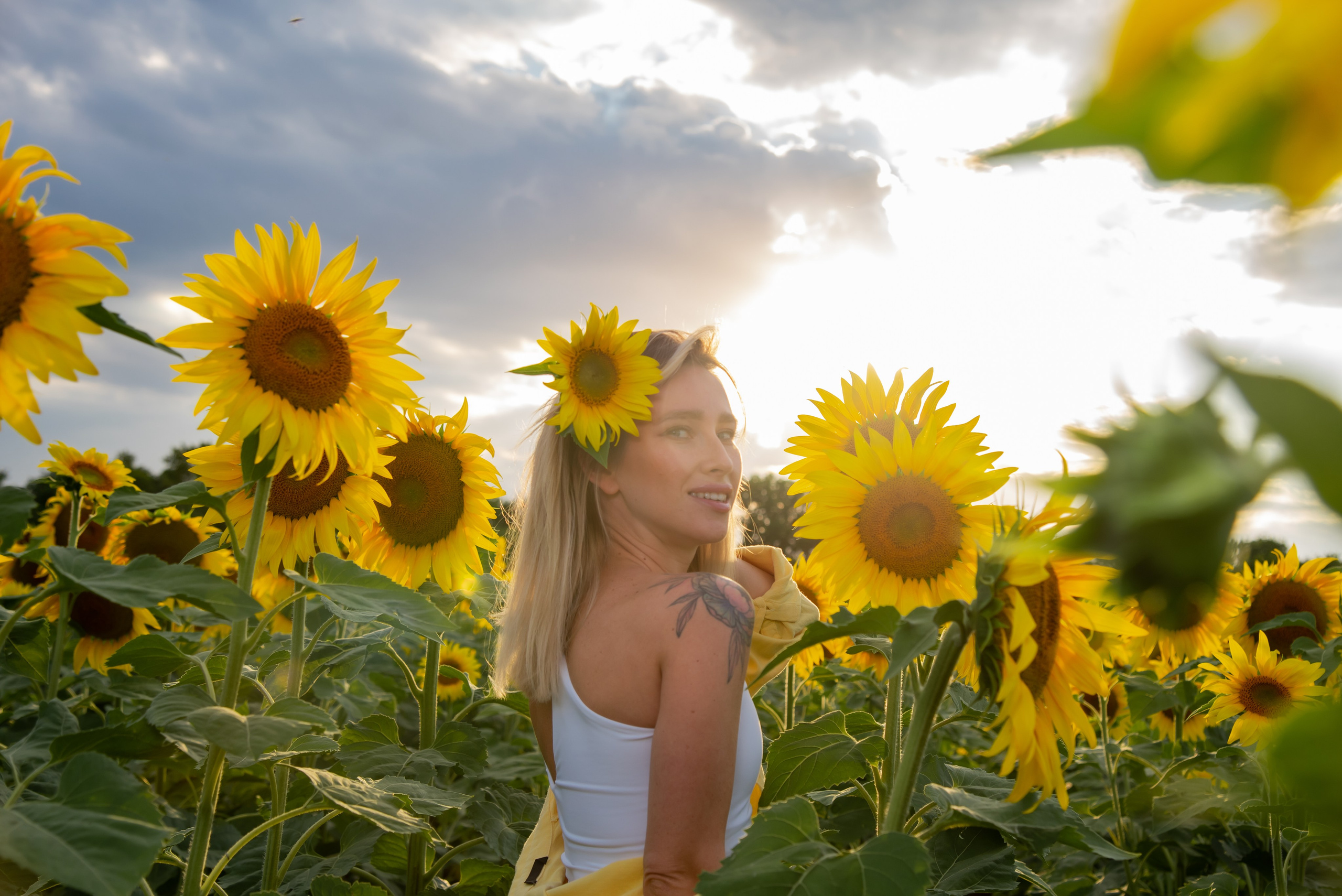 Подсолнух. Фотограф Галина Нестерова