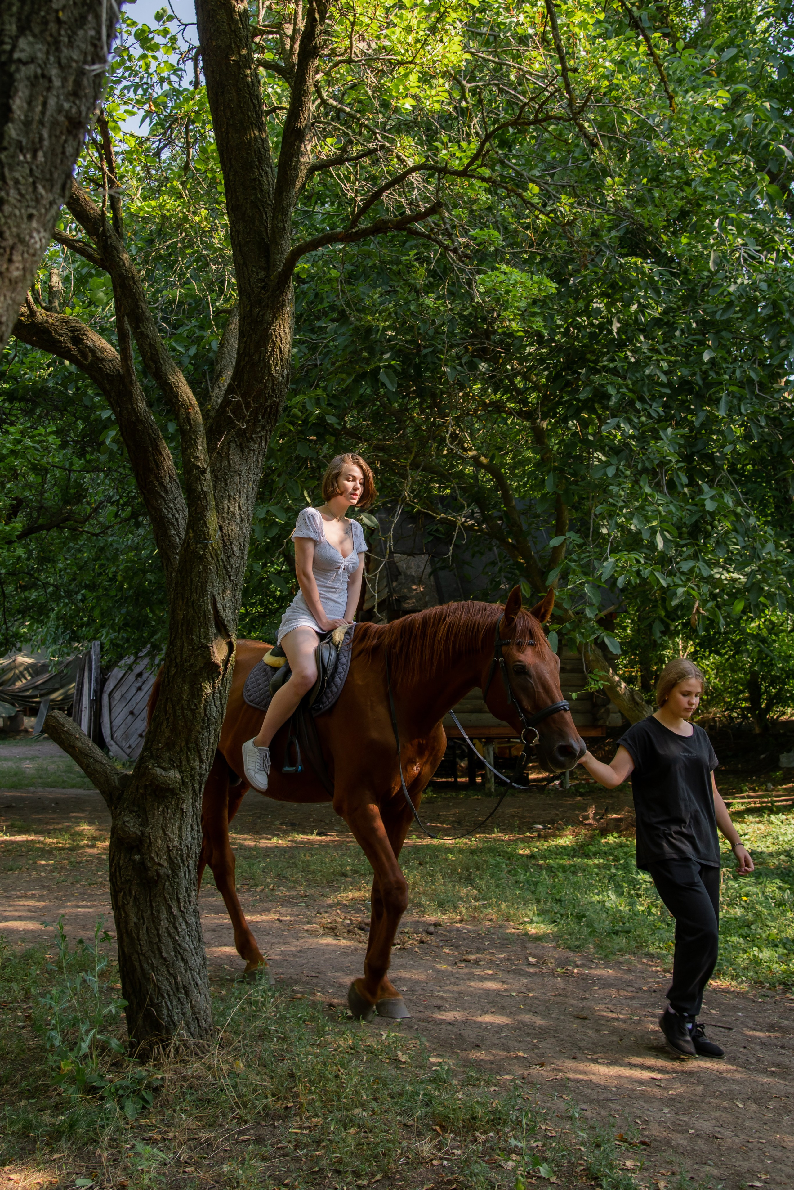 Конная прогулка. Фотограф Галина Нестерова