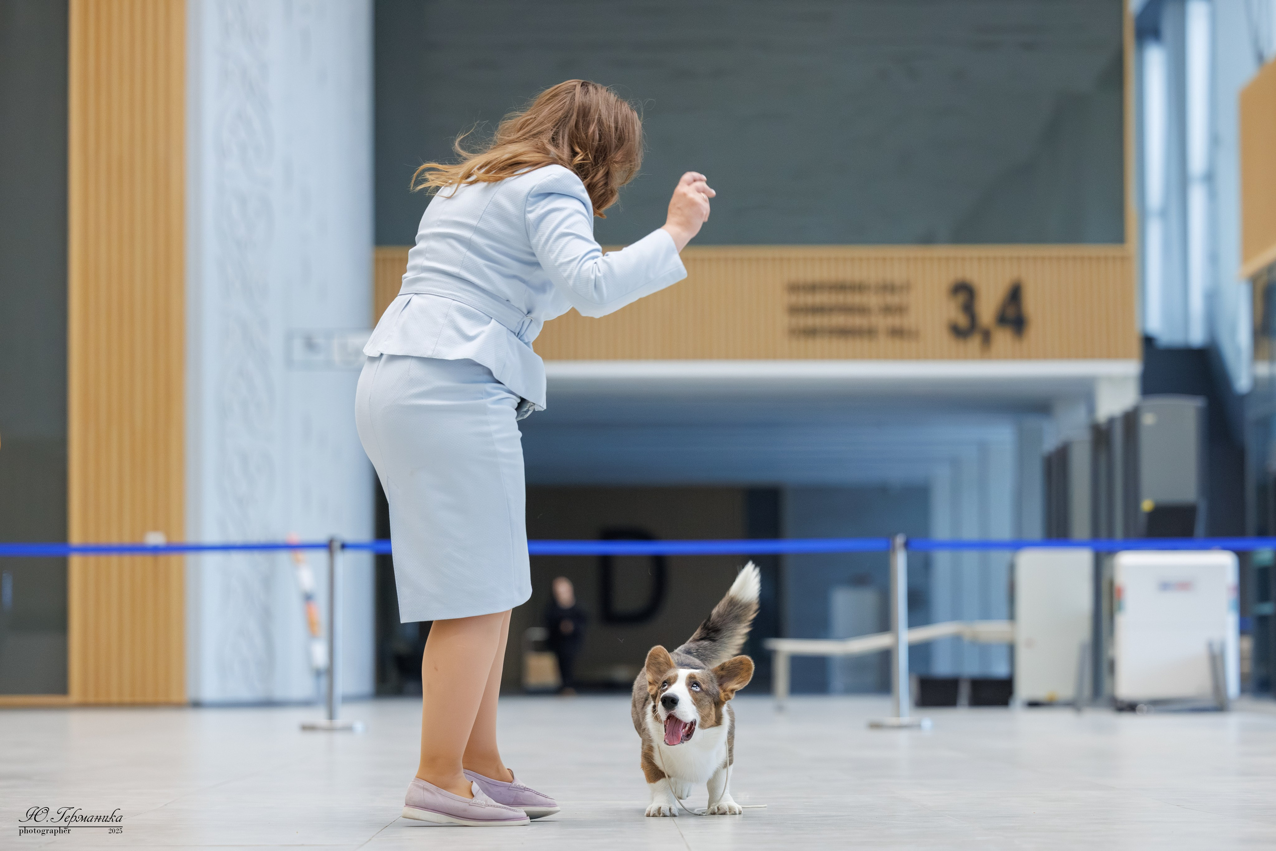 Астана 2хCACIB 3-4.05.2025. Фотограф-анималист Юлия Германика