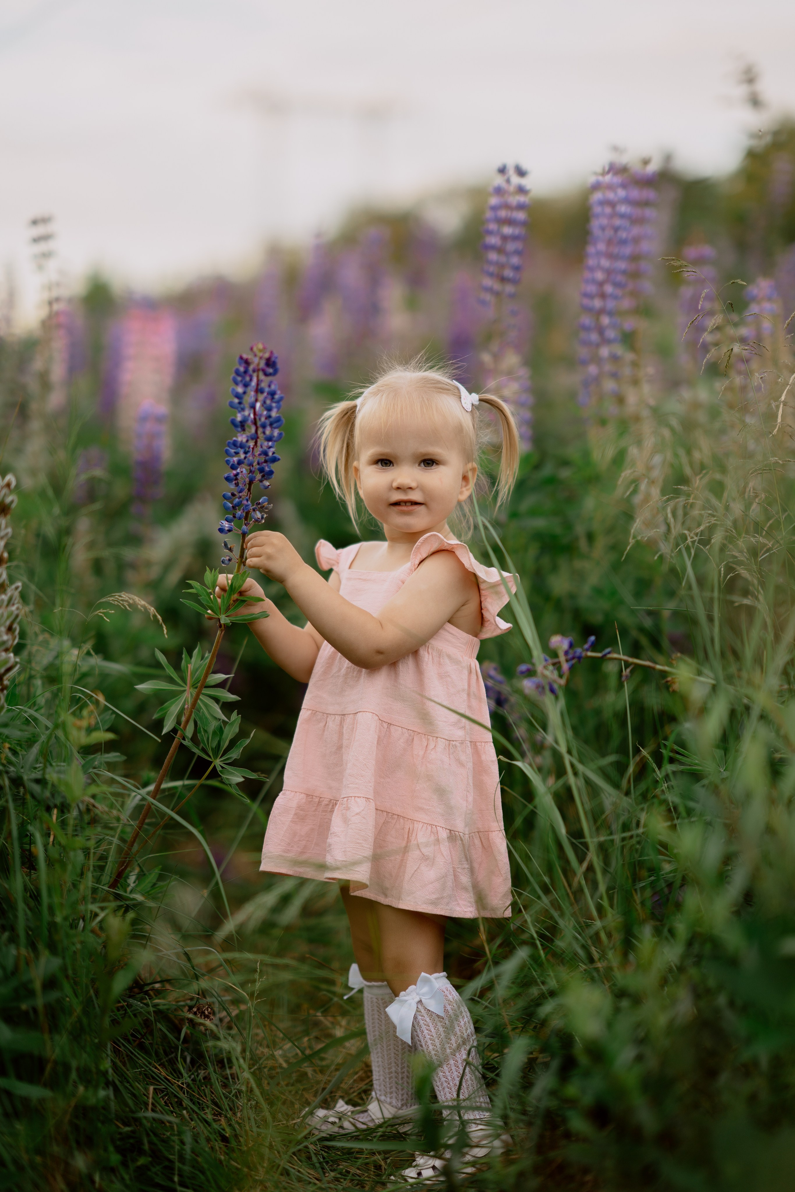 Фотосессия в люпинах. Анюта с мамой и папой. Семейный и детский фотограф в Сергиев Посаде, Хотьково Якимчук Любовь