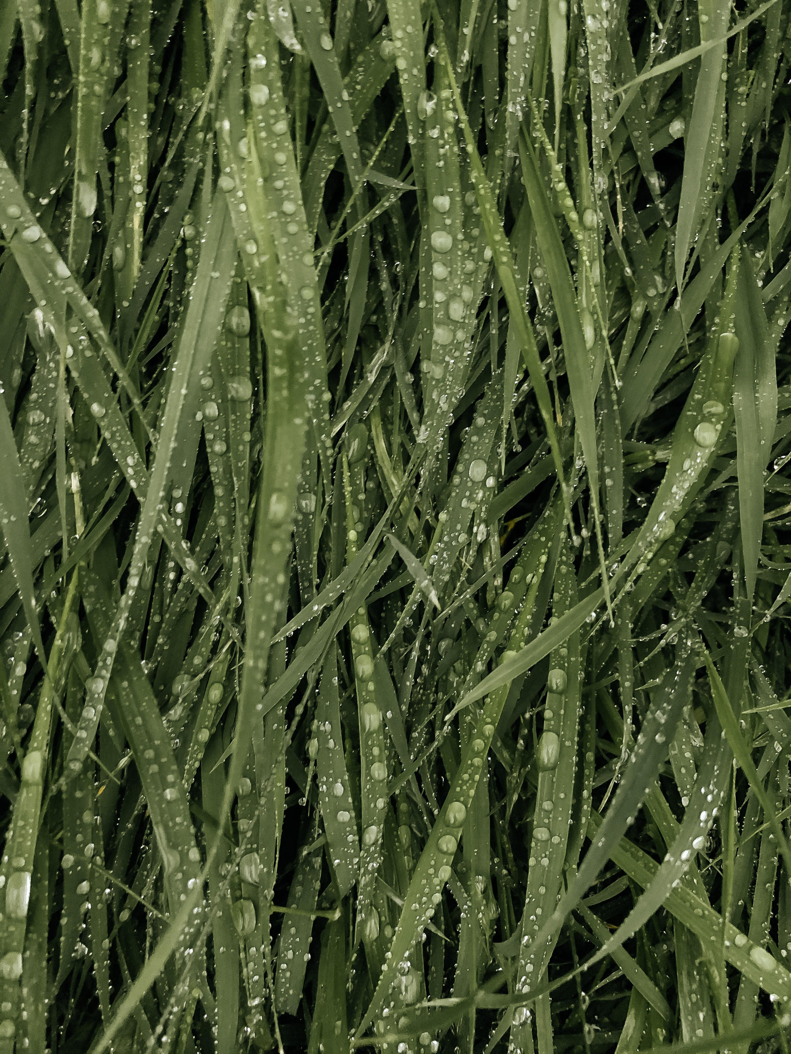 Предметная съёмка. Dmitry Golenko