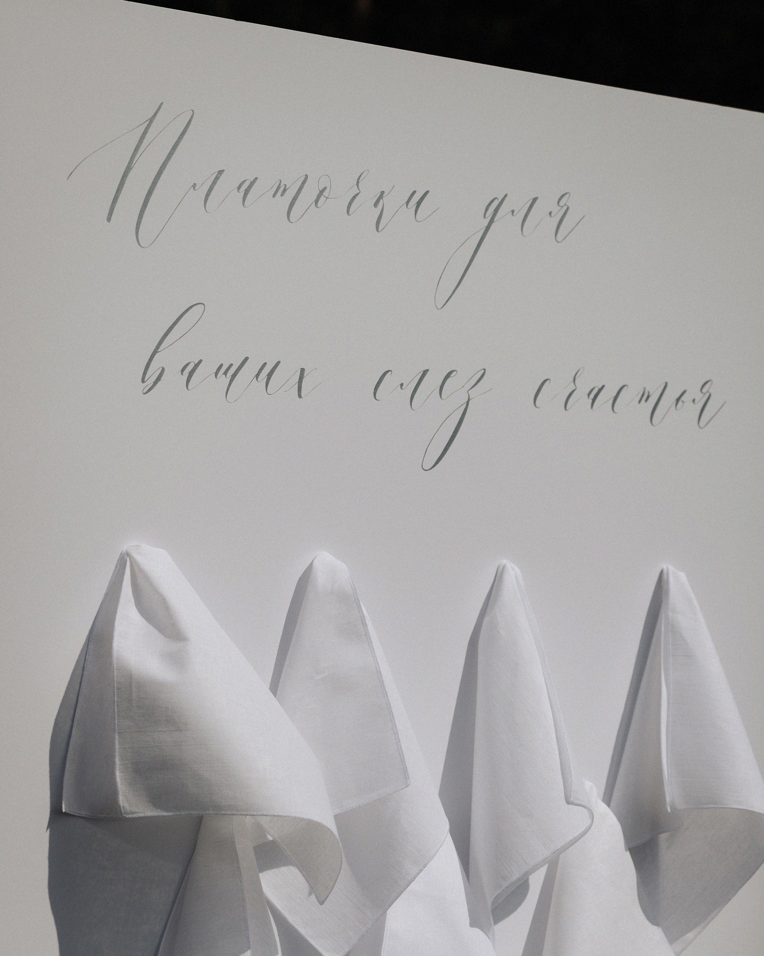 Илья и Настя. Свадебный фотограф в Рязани и Москве Евгения Жмурова