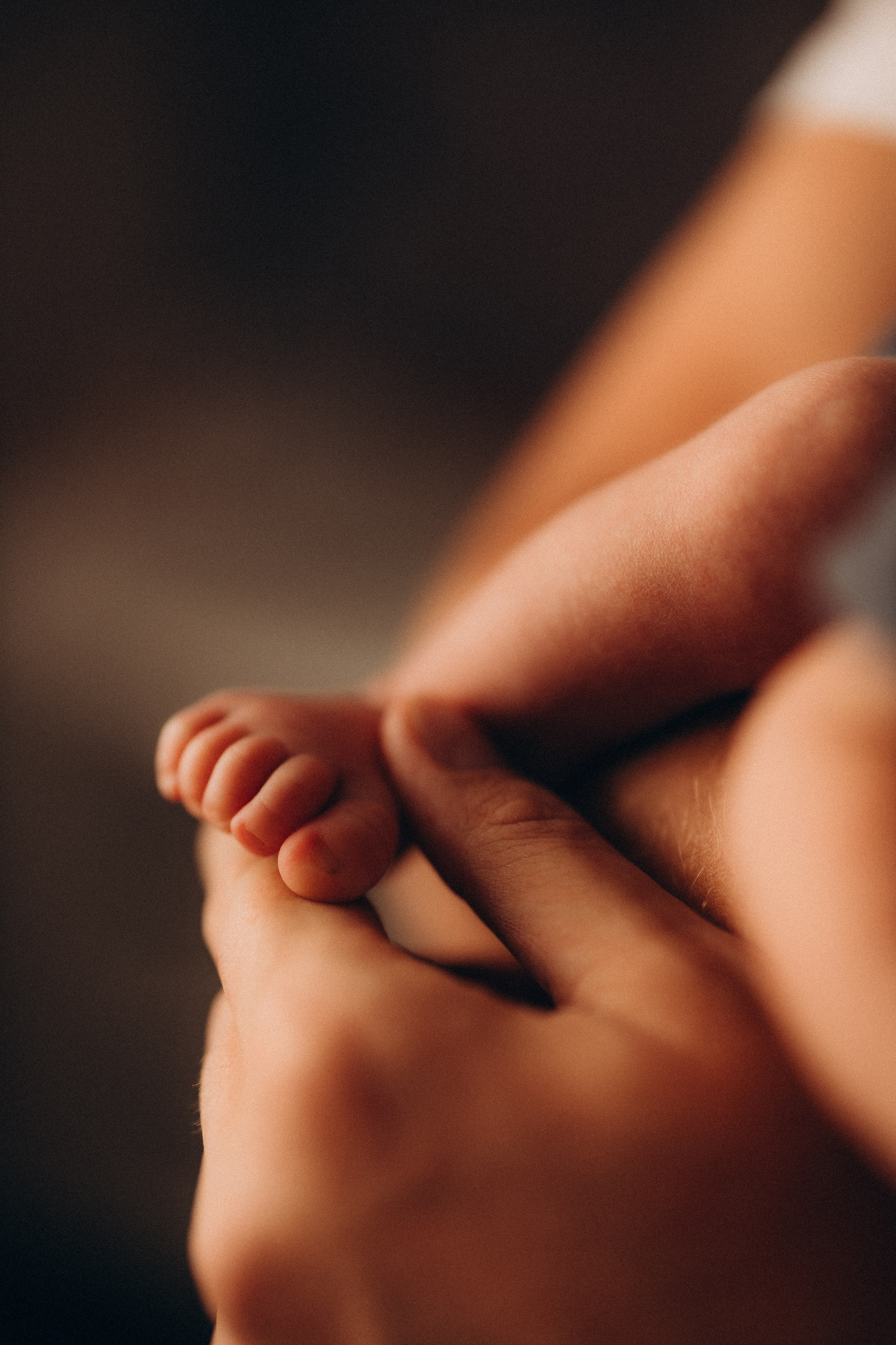 Платон. Евгения Пелипас