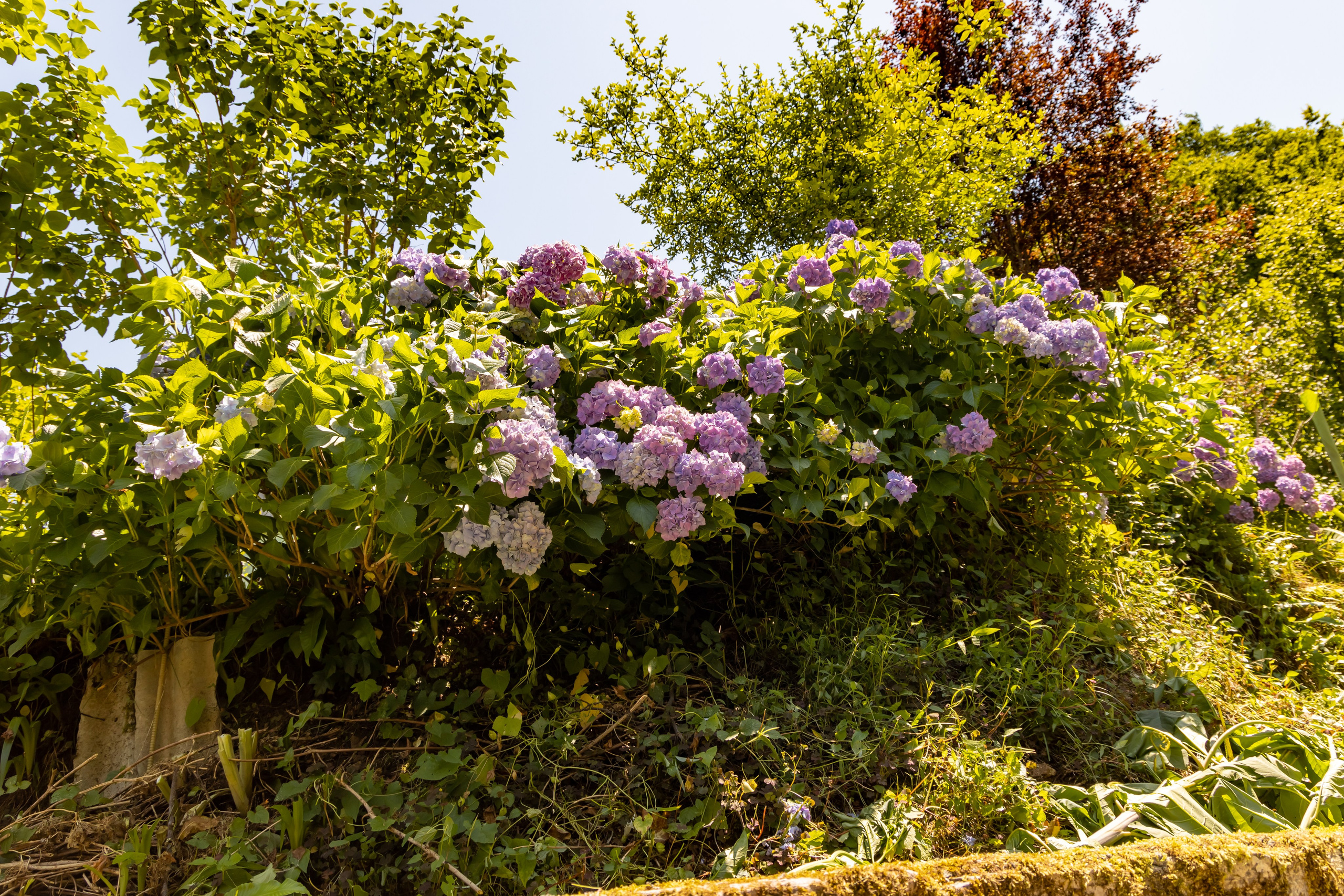Сочи. Солох Аул. Репортажный, семейный и студийный фотограф в Москве Демин Алексей