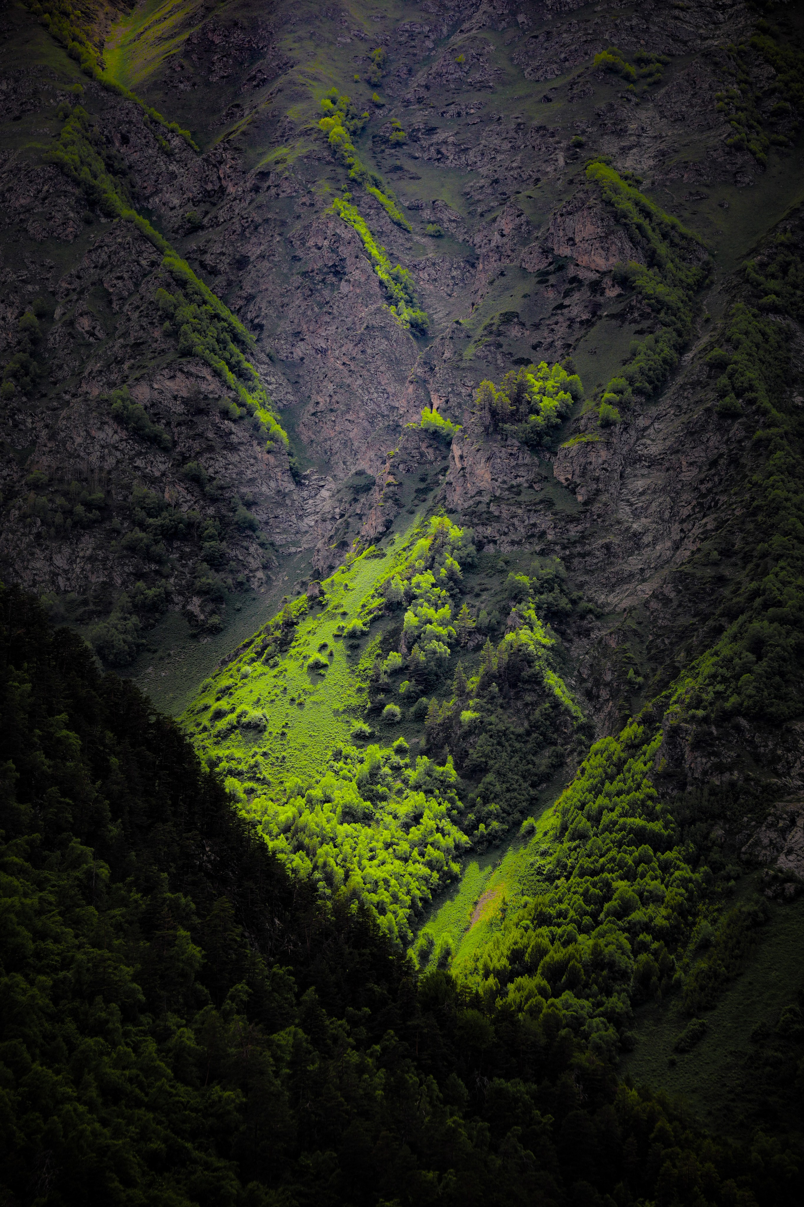 Природа. Глеб Захаренко — спортивный и репортажный фотограф в Крыму