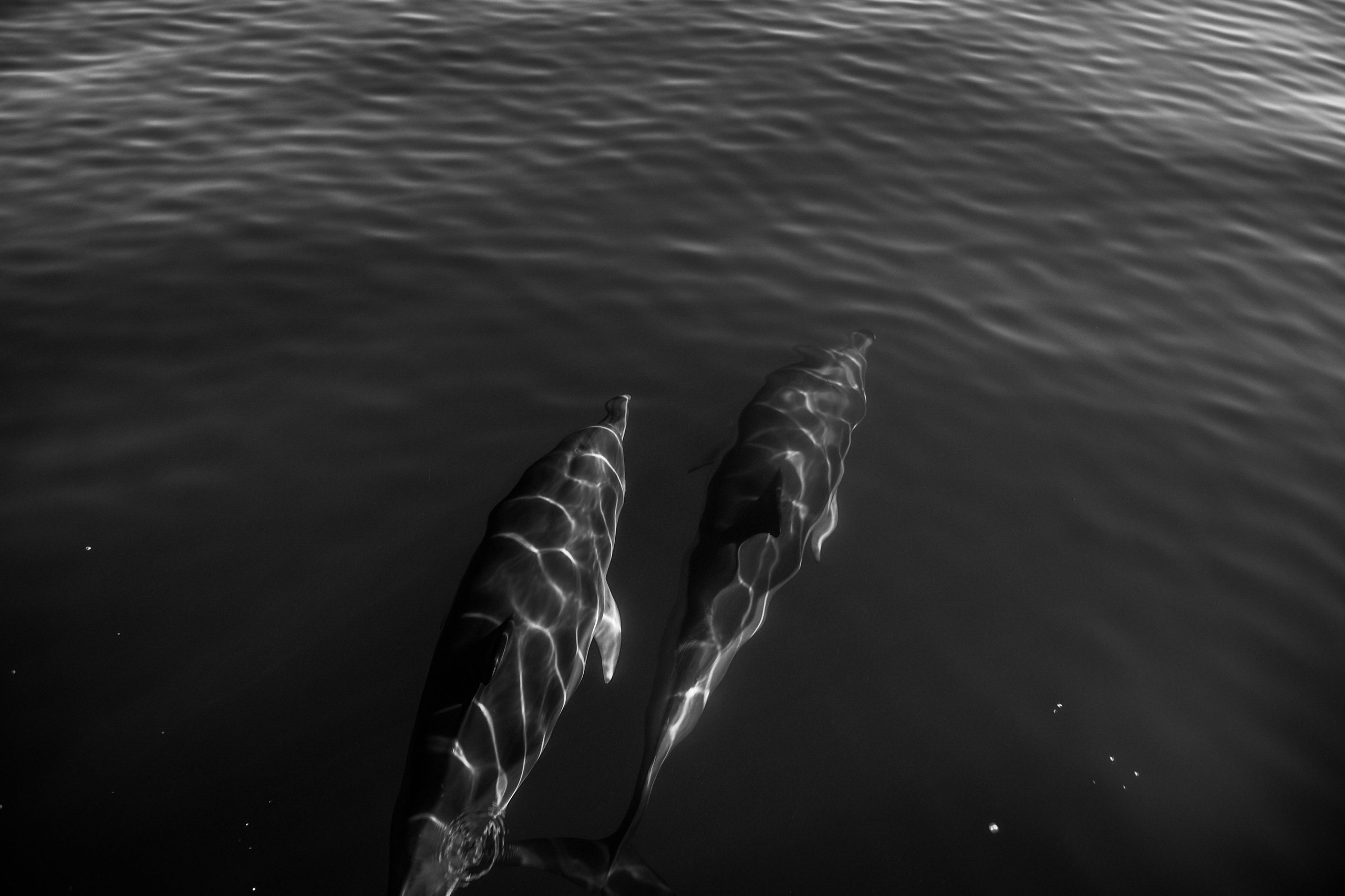 Wild and free. Anastasia Serdyuk, travel photographer, travel photo, portraits, stories, fineart prints