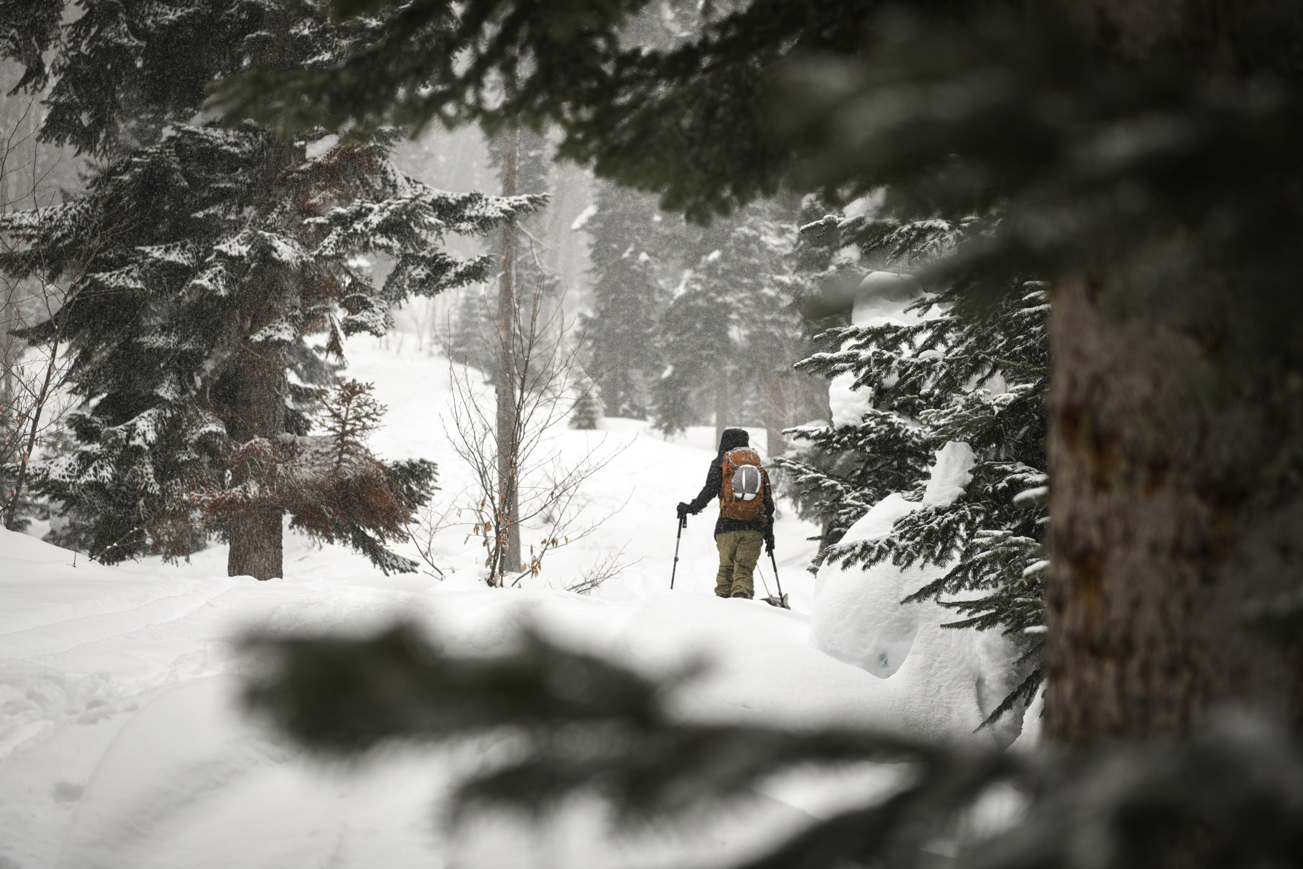 Skitouring. Anastasia Serdyuk, travel photographer, travel photo, portraits, stories, fineart prints