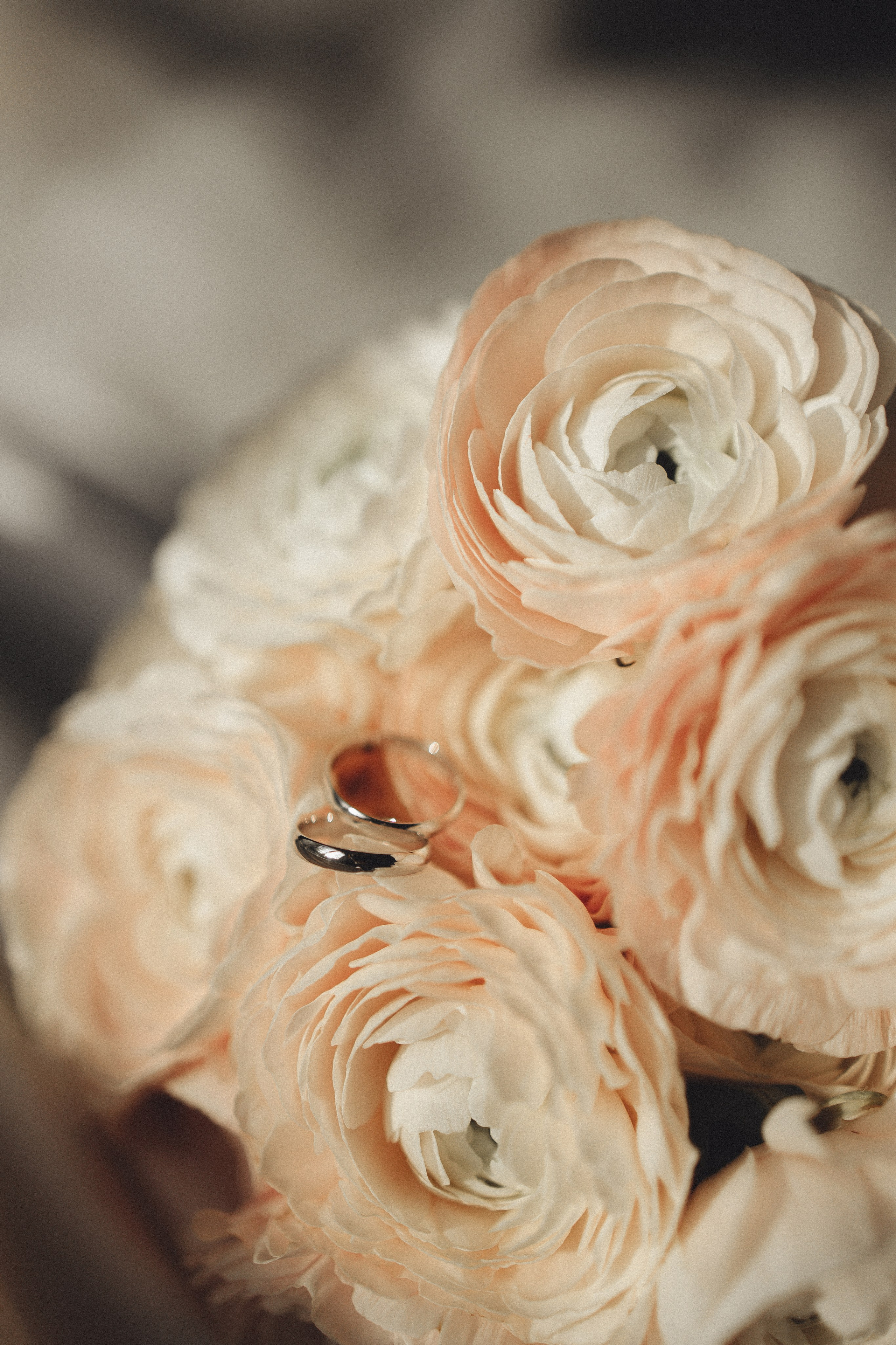 Свадебная история для двоих. Семейный и детский фотограф, таганрог, ростов-на-дону