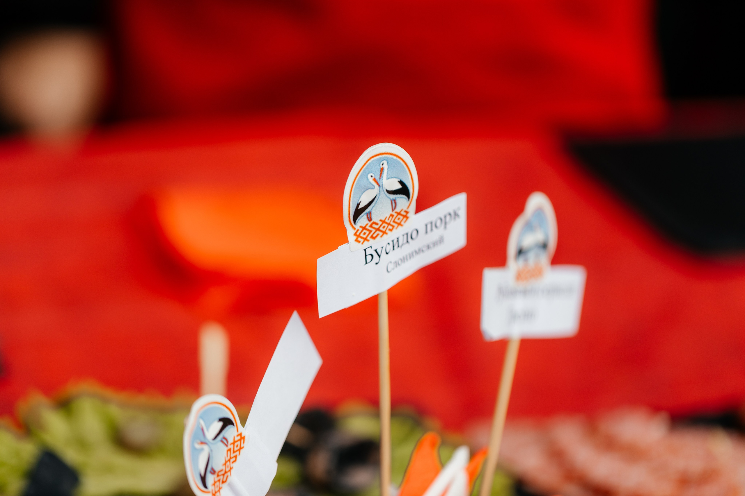 Масленица. Красильников Евгений — профессиональный фотограф в Ростове-на-Дону