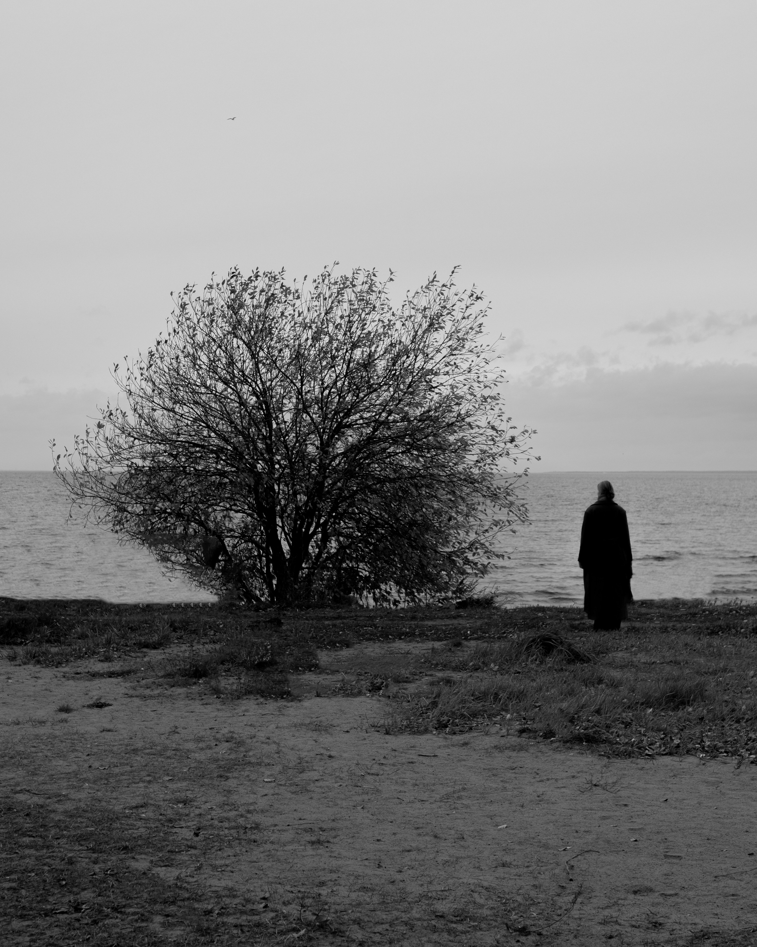 Катрин. Съёмка на Канонерском. Lickord