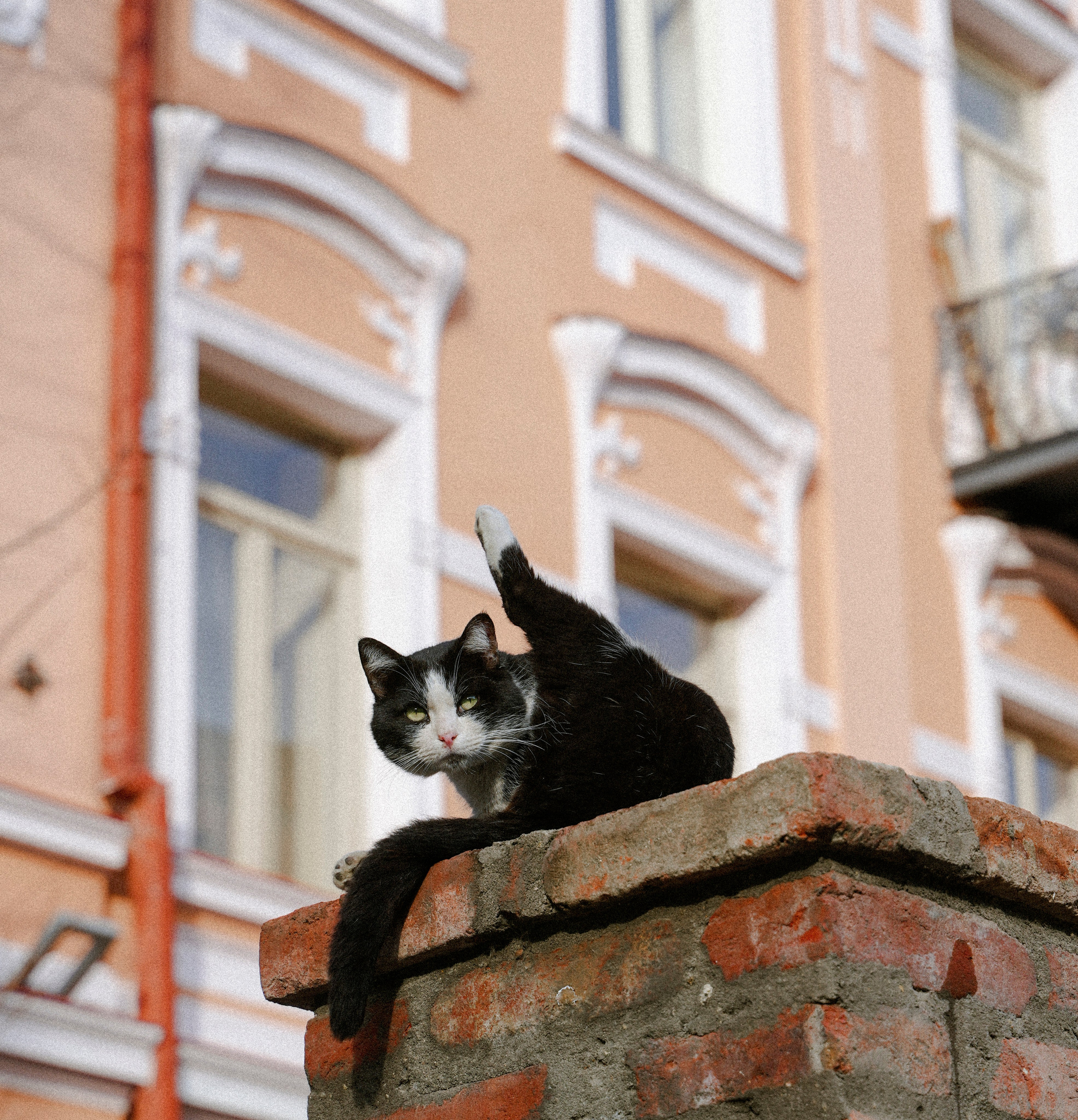 ТБИЛИСИ 2023-2024. Стрит-фотография, полная абсурда, идиотизма и красоты