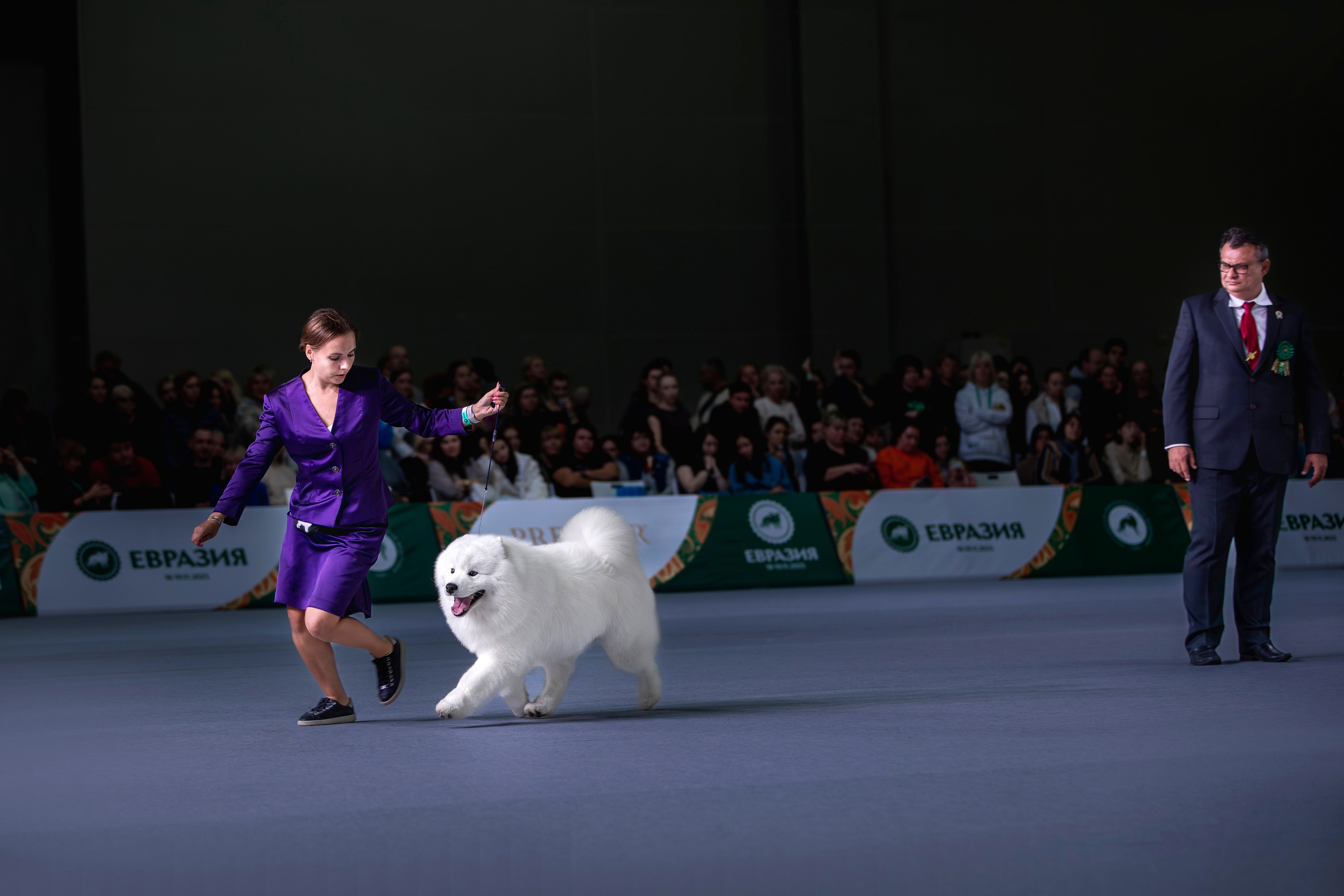 Евразия 2023. Фотограф анималист в Москве Майорова Евгения