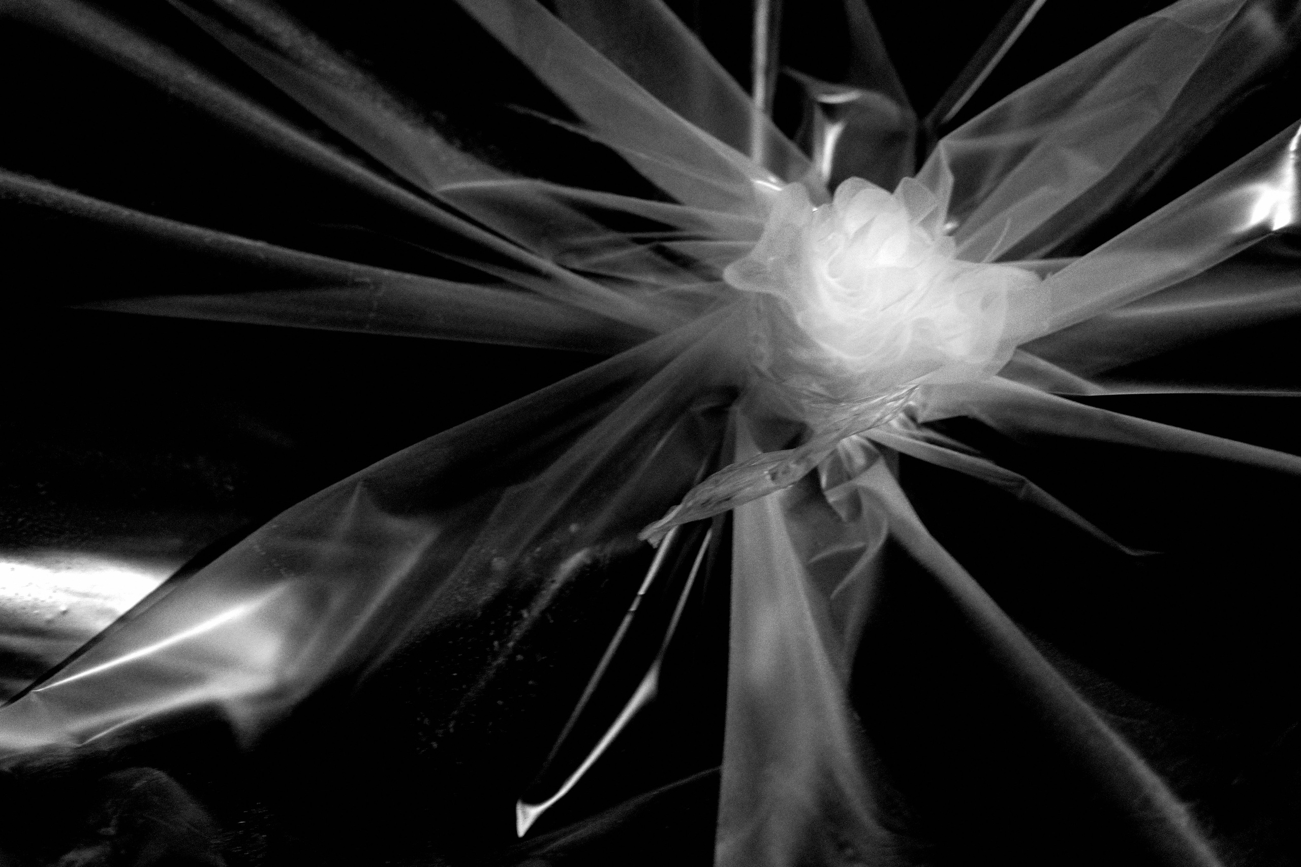 Черно-белое. Миша Печёнкин | фотография