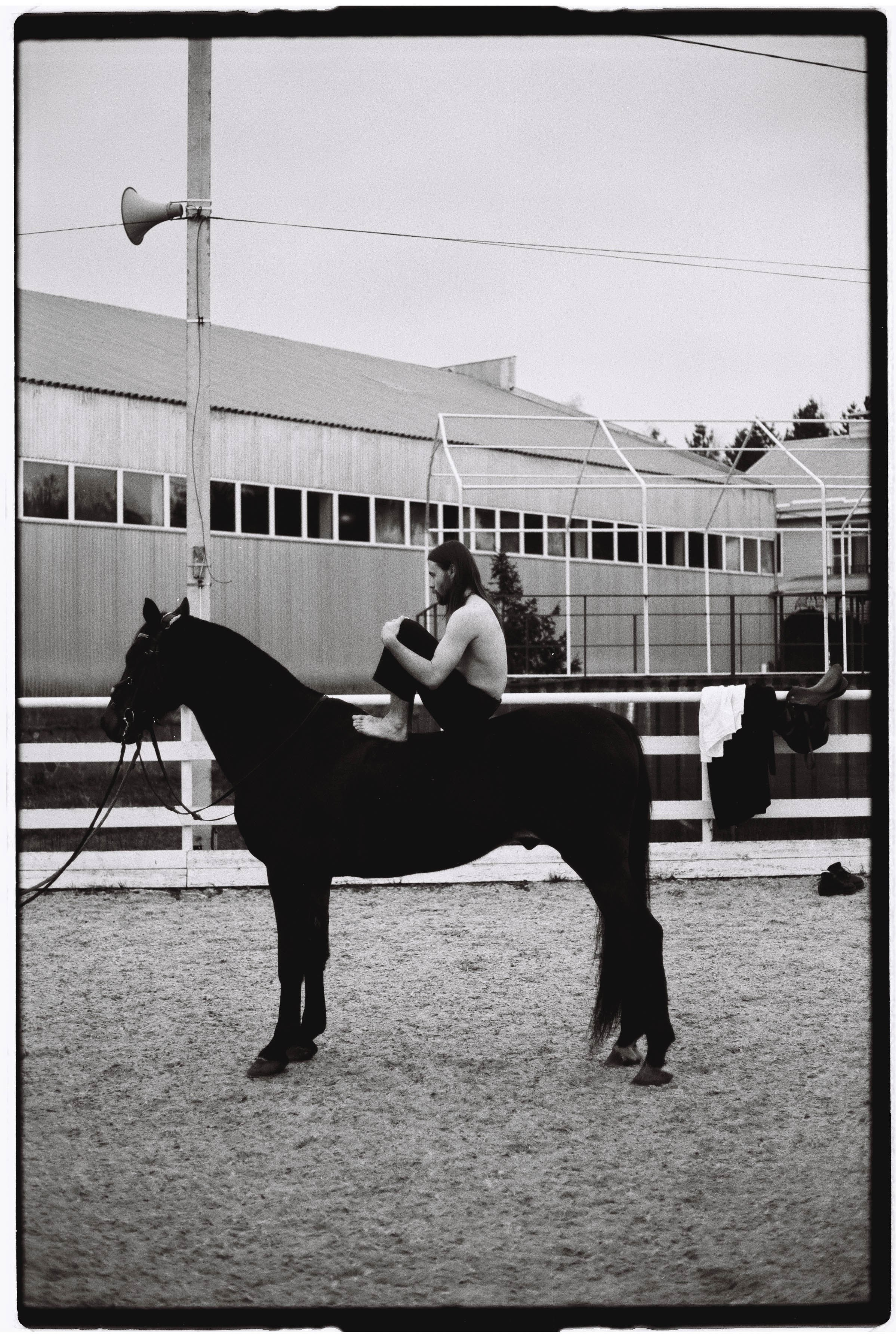 VLADIMIR. MARK DOROHOV