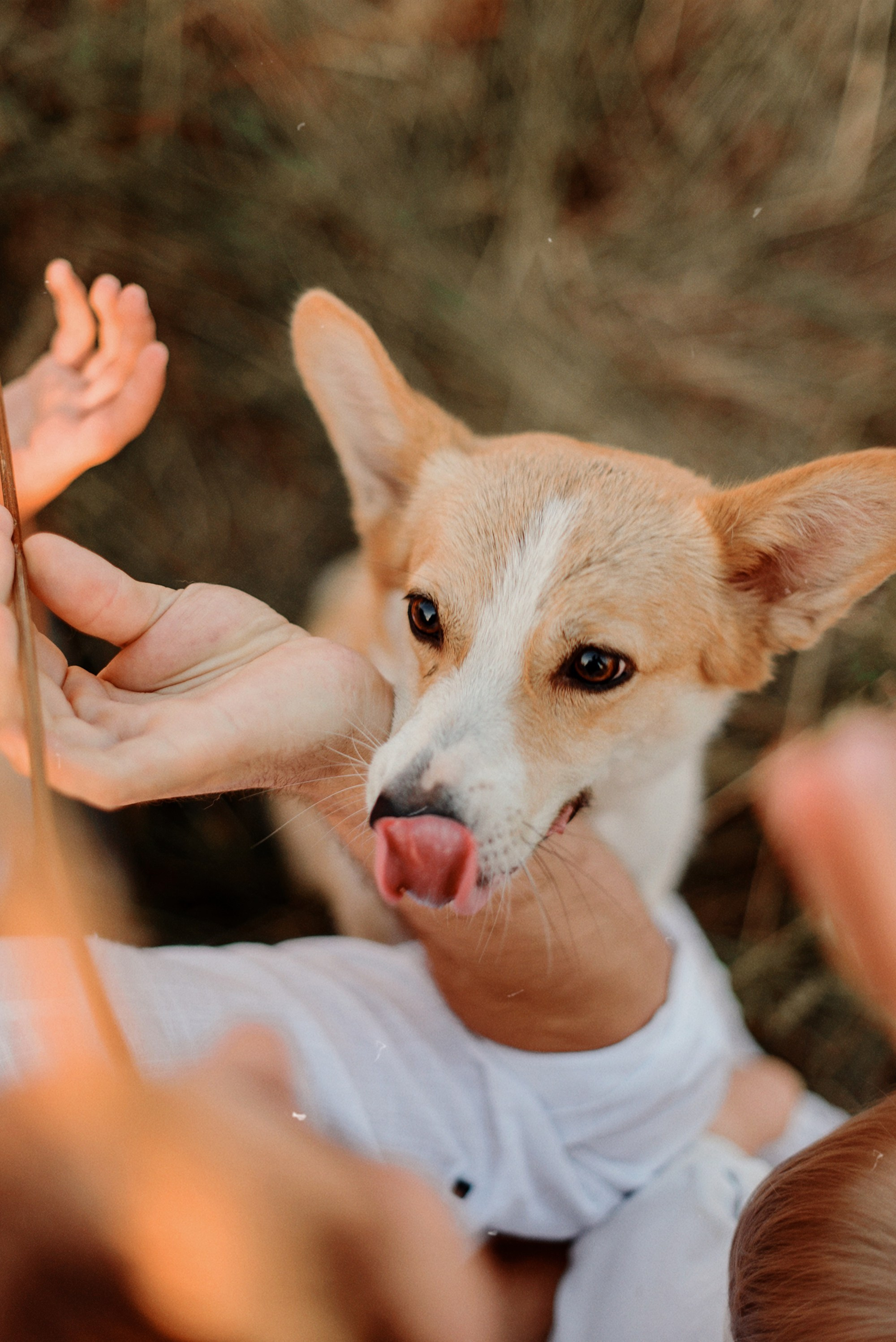 ЖЕНЯ, САША, СЕМЁН и ЛЁВА. Свадебный и семейный фотограф РИТА БОЧКАРЁВА