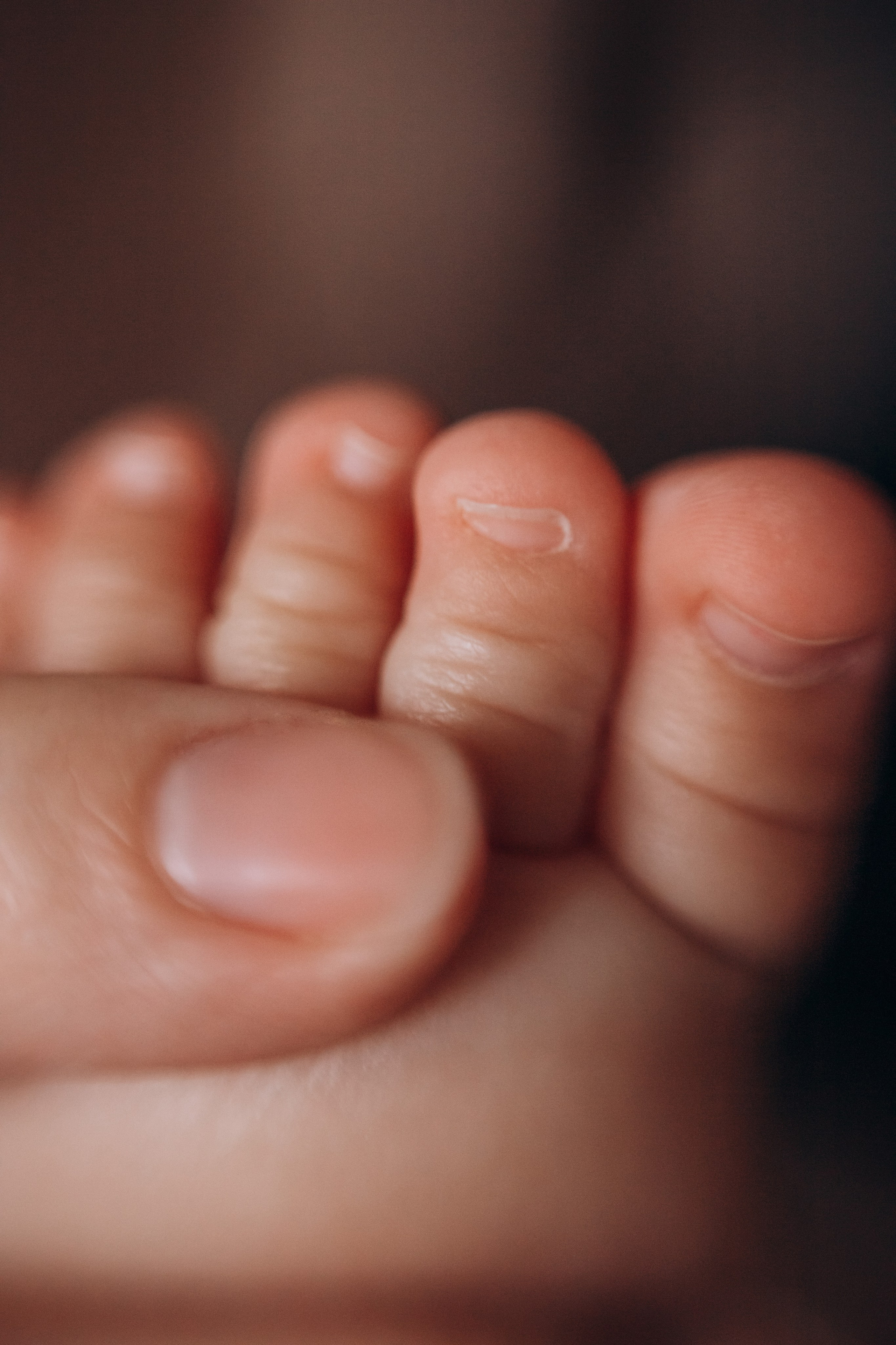 Семья Татьяны и Ильи. Семейный и детский фотограф в г. Новосибирске Макеева Анастасия