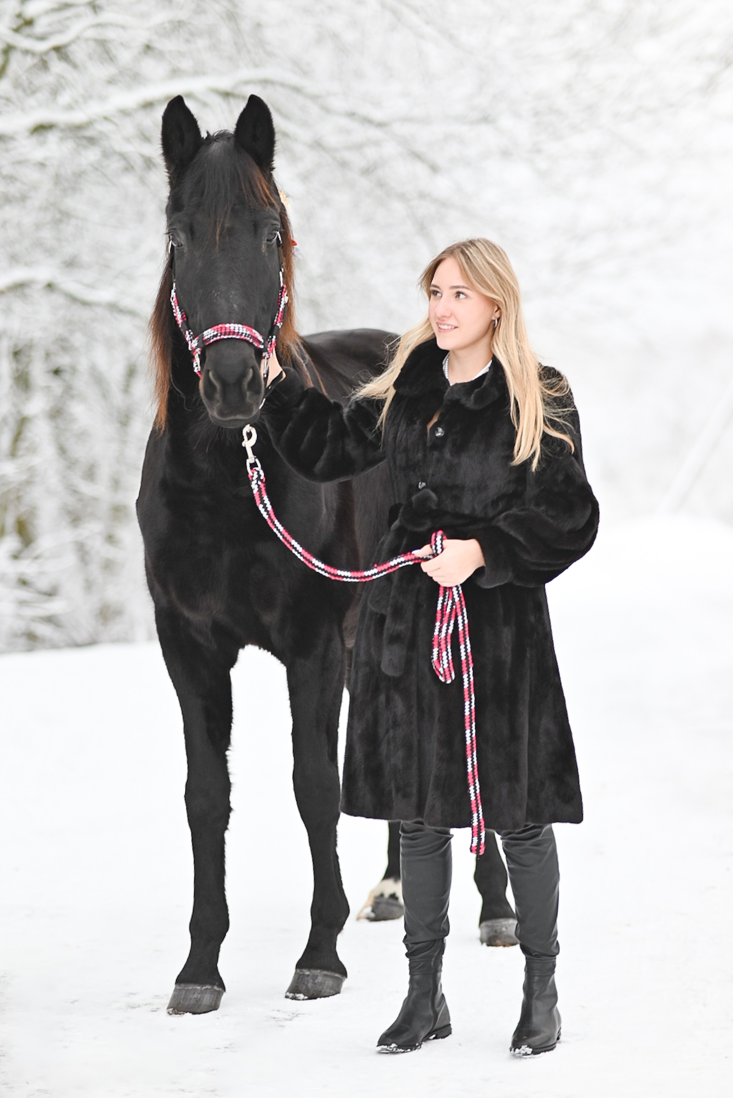 King. LifeStyle фотограф Анна Воробьёва Санкт-Петербург