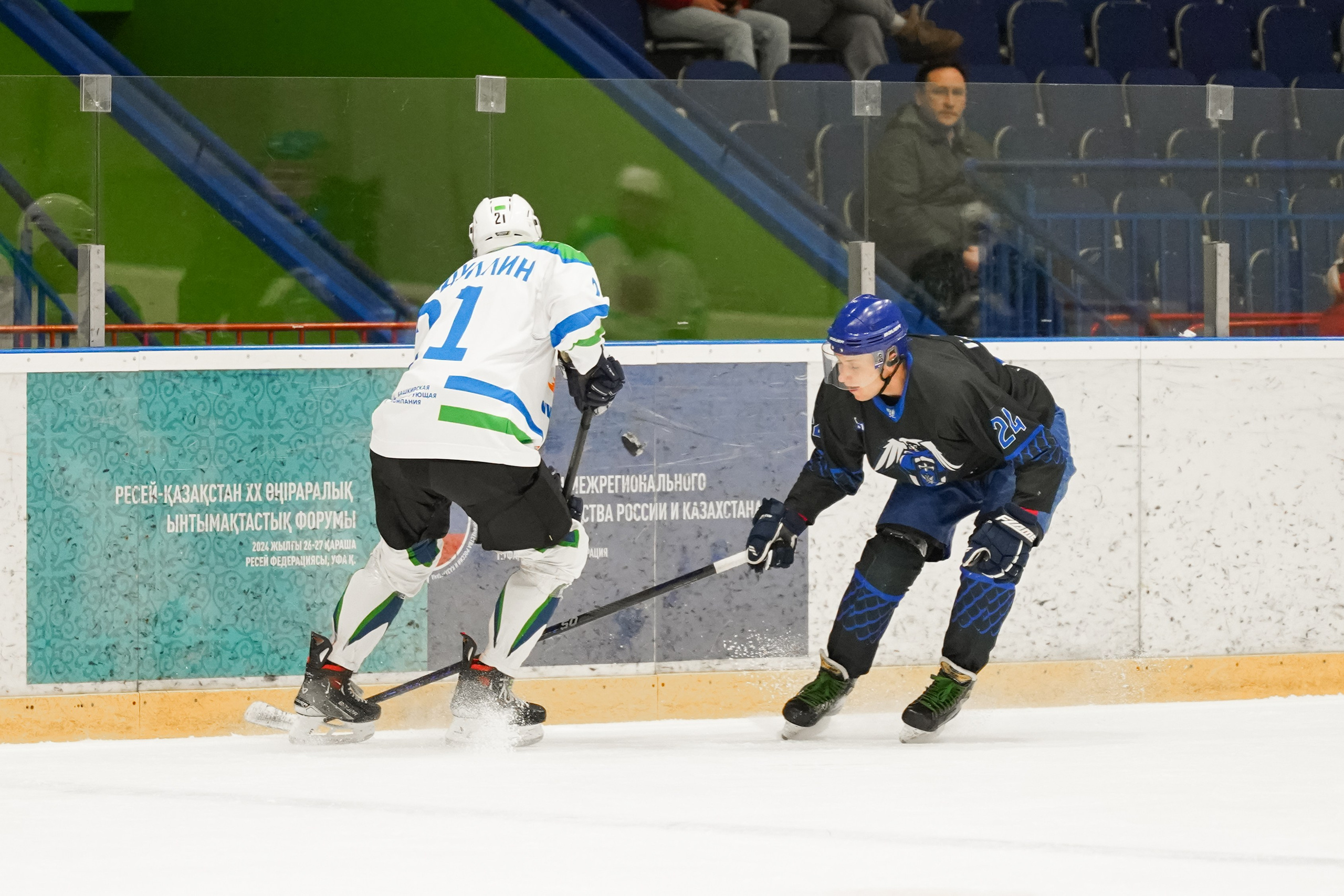 Башкирская хоккейная лига. Маслухин Дмитрий — Ваш Фотограф