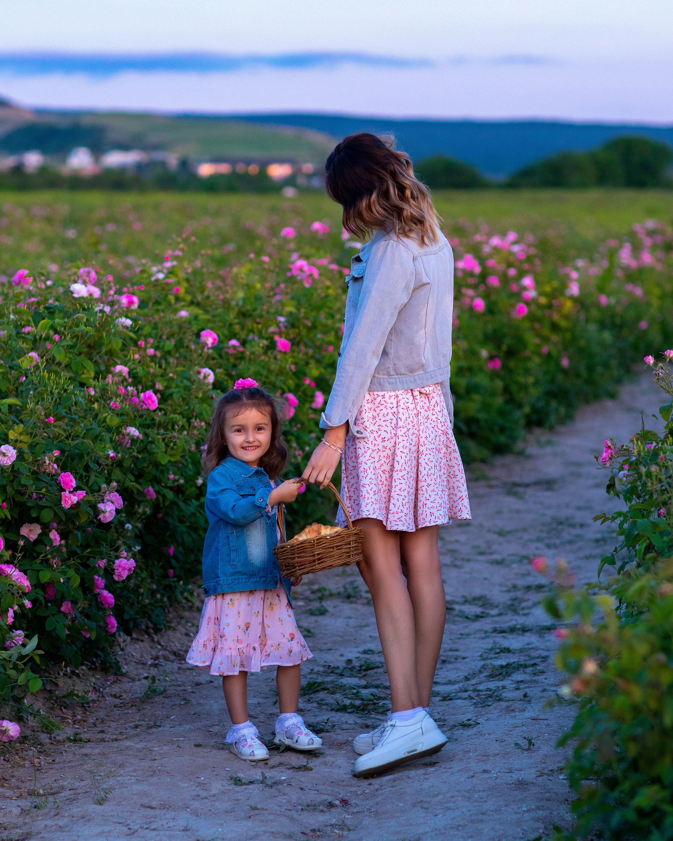 Чайная роза. Фотограф Севастополь/Крым Светлана Евтушенко