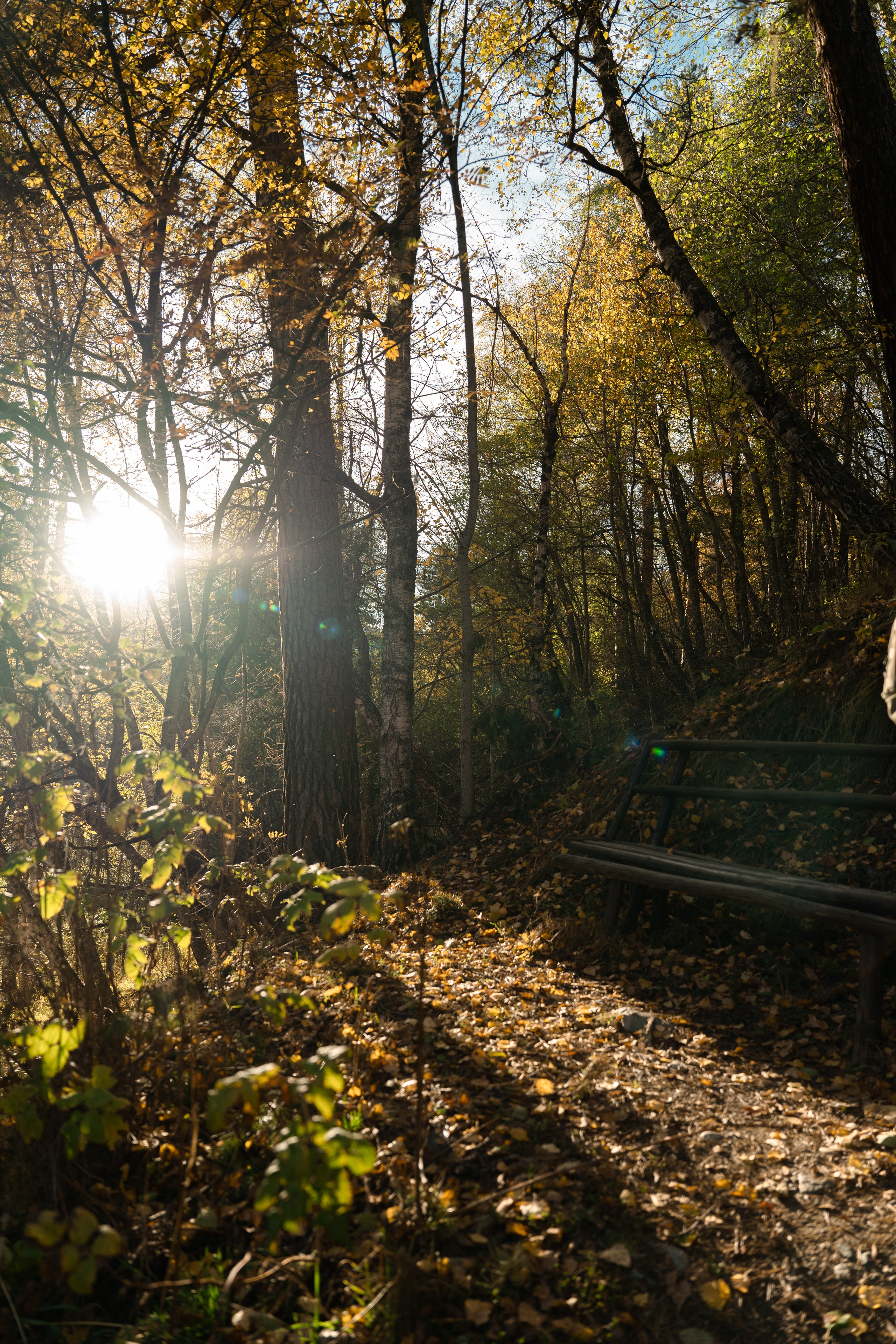 Рахат. Фотограф и видеограф Елена Хмелевская