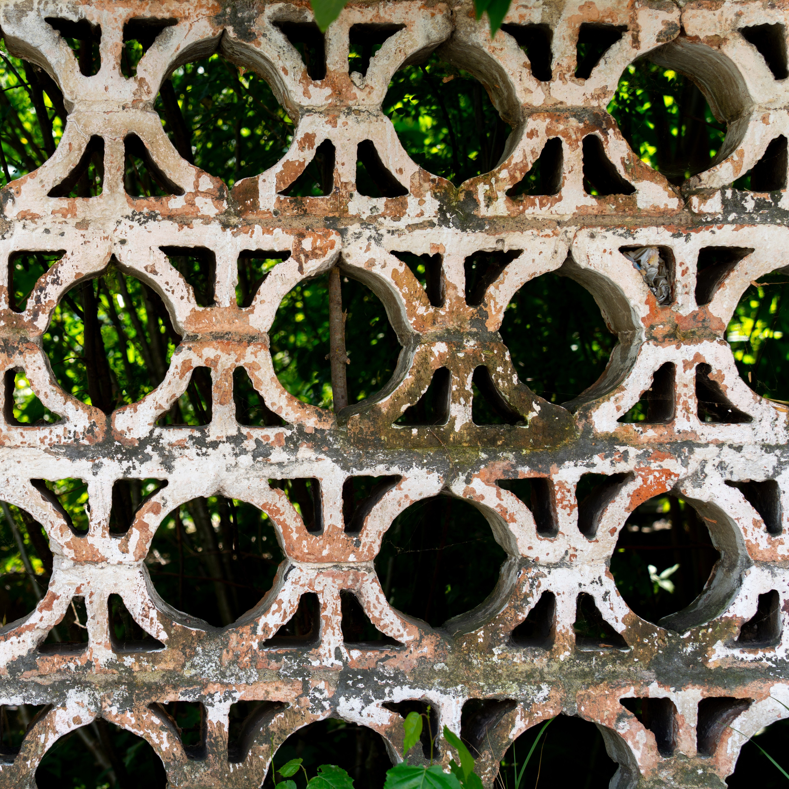 20250729-30 Ростов. Дмитрий Ремизов. Фотография, как хобби