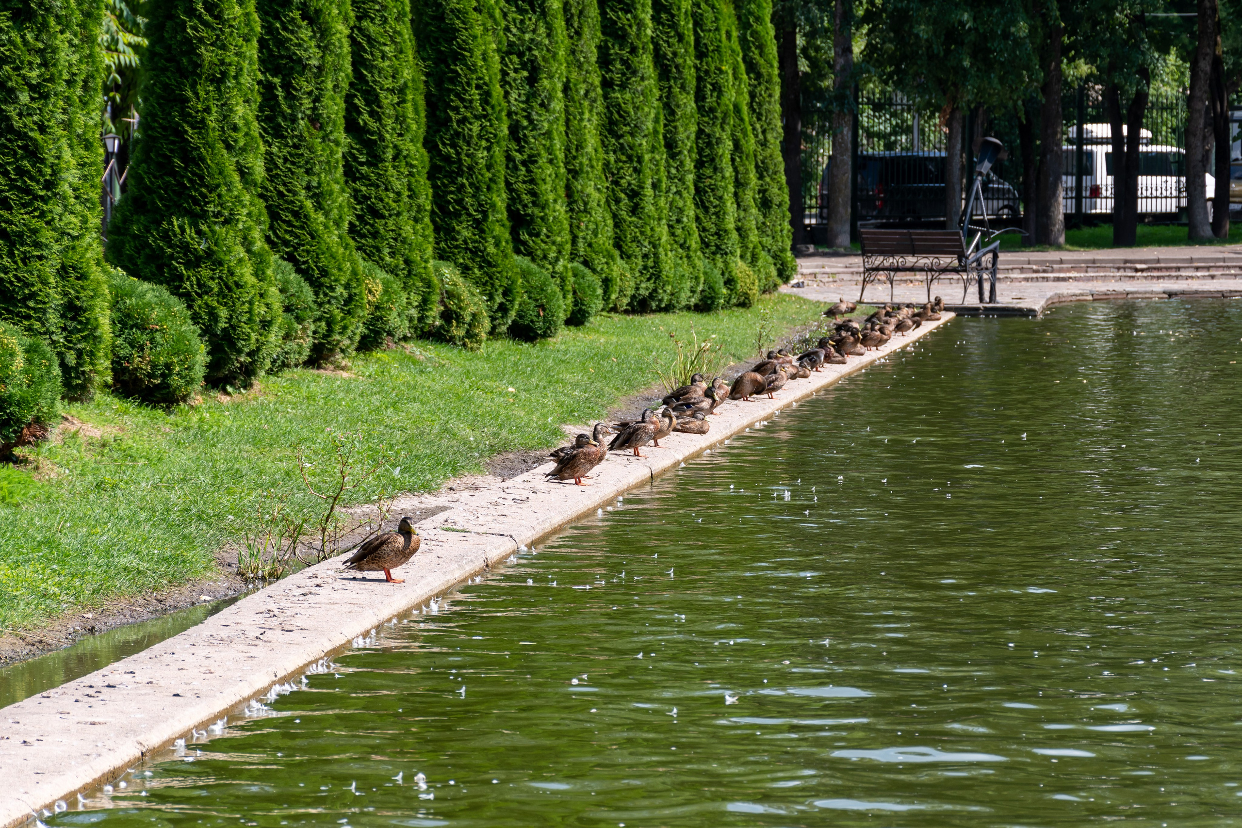 20220803-04 Смоленск. Дмитрий Ремизов. Фотография, как хобби