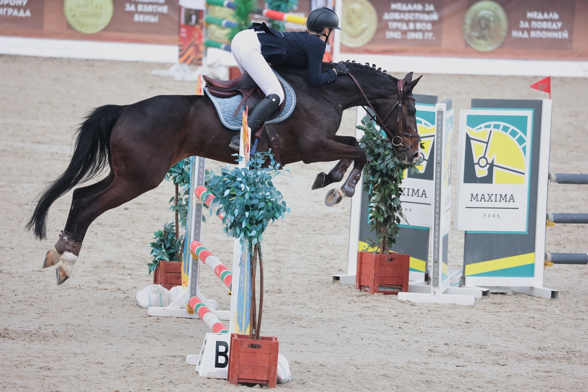 Конкур в Maxima Stables. Фотограф Самсонова Светлана