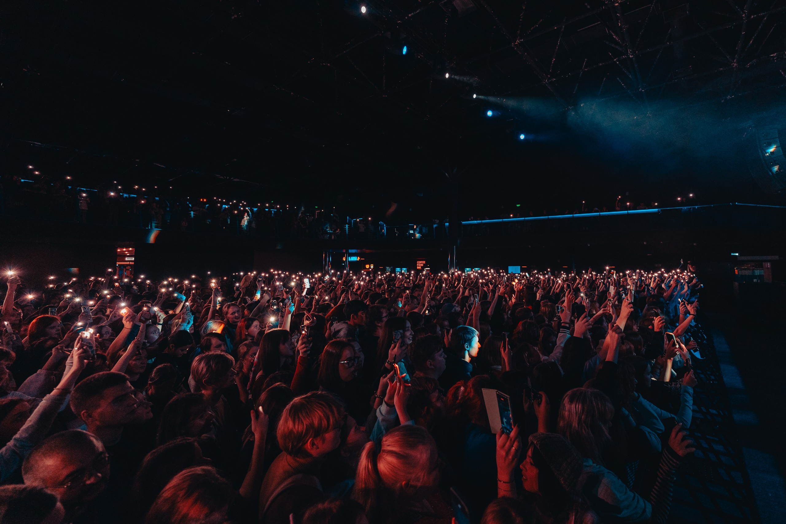 Алена Швец. Магия музыки в кадре: Концертная Фотография