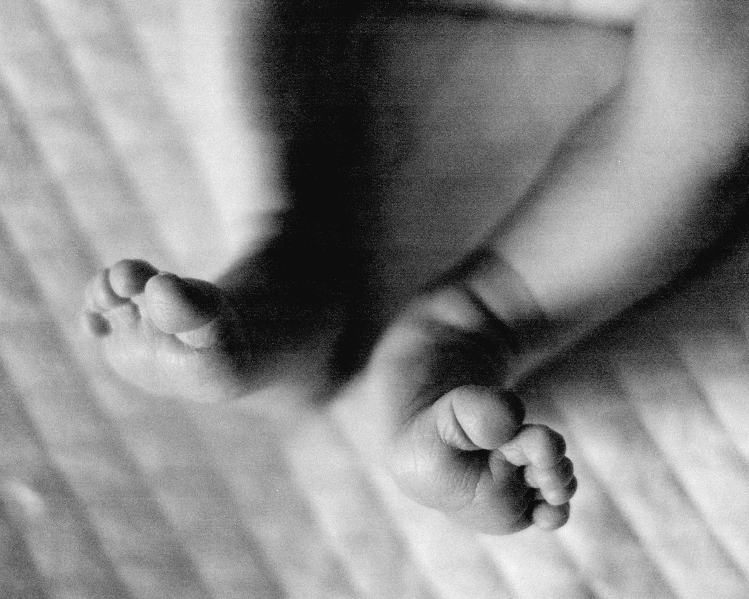 Gosha. SHILOVA PHOTO. Шилова Екатерина. Фотограф. Москва