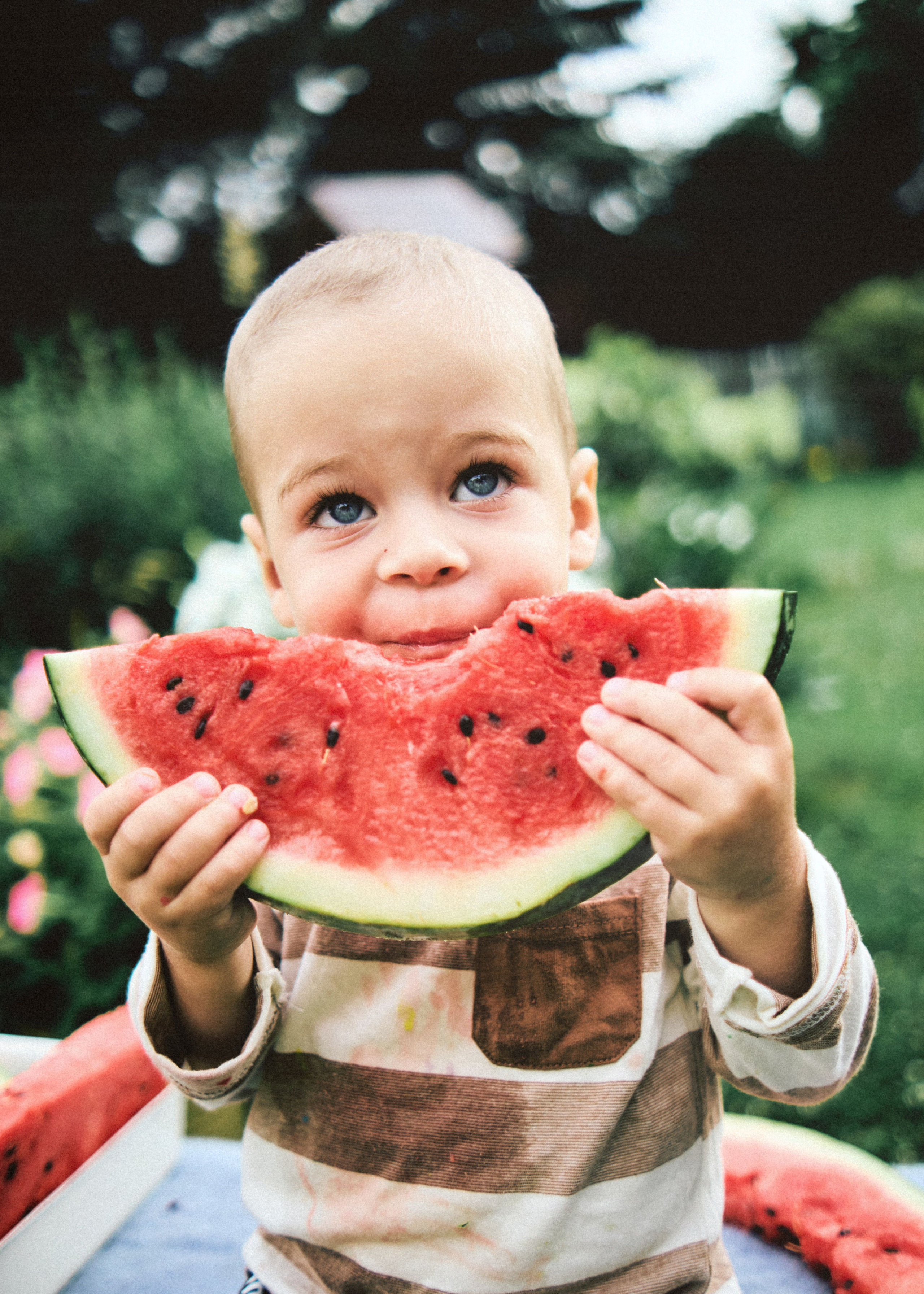 Банда. SHILOVA PHOTO. Шилова Екатерина. Фотограф. Москва