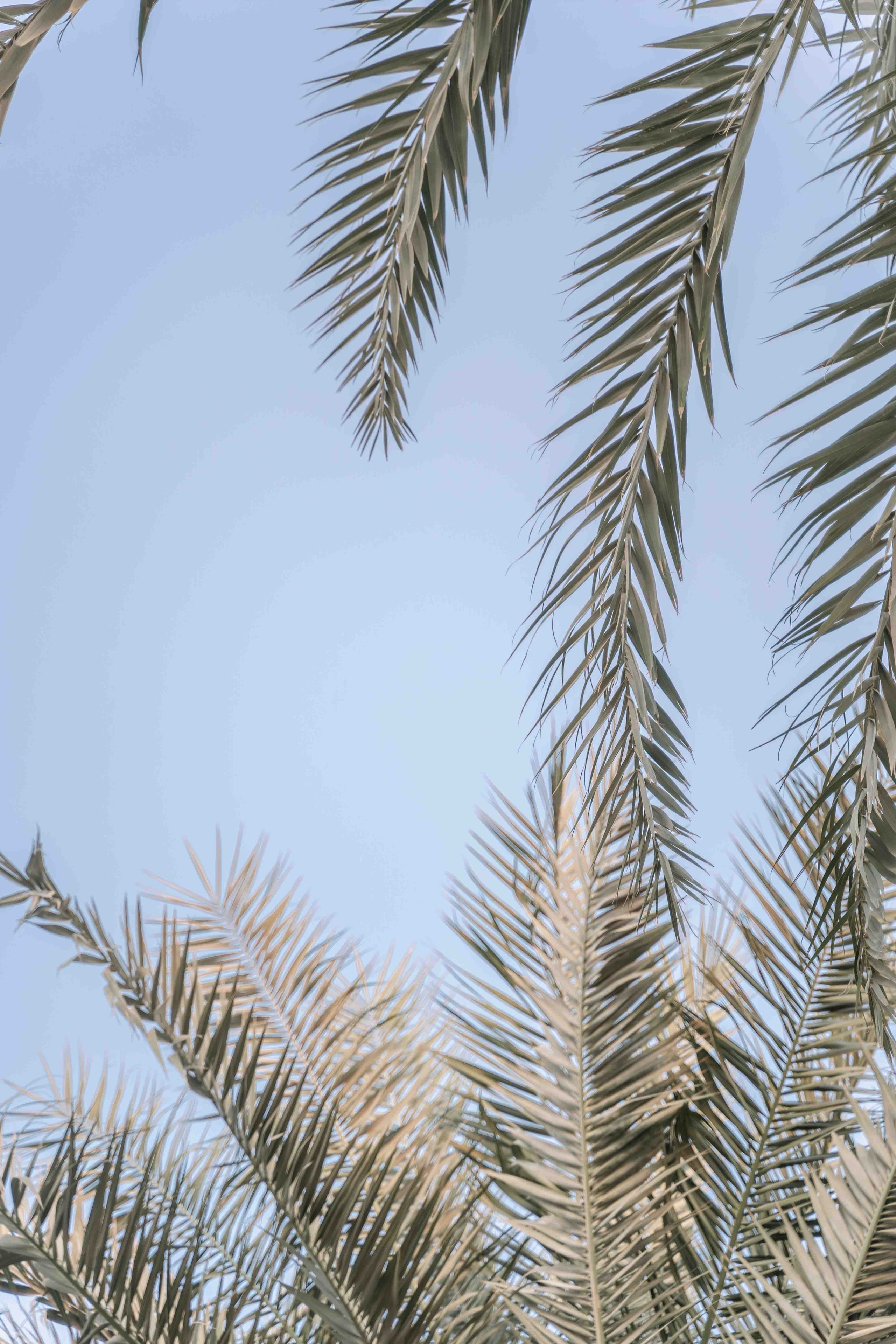 Proposal in Dubai | Bab al Shams in desert