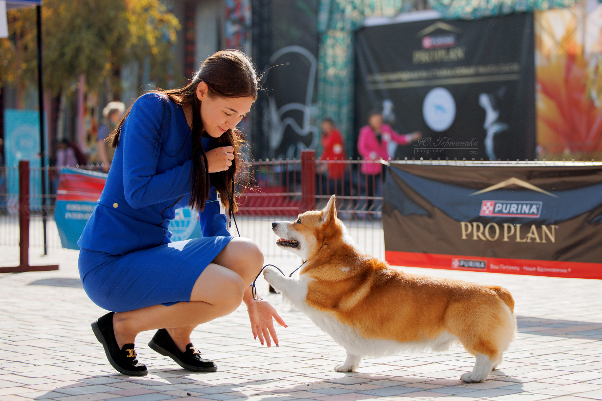 Ташкент 3хCACIB 3-5.10.2025. Фотограф-анималист Юлия Германика