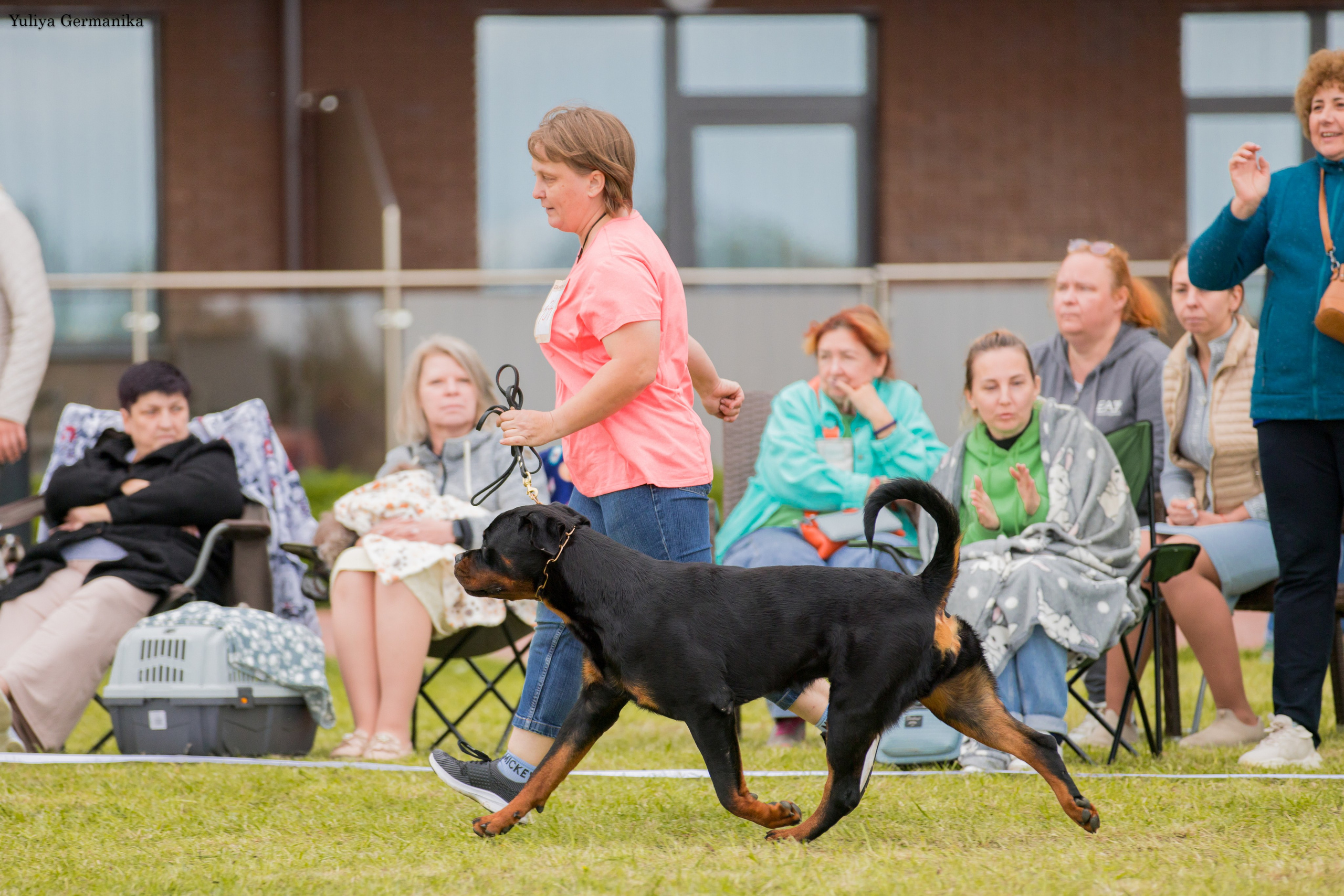 Переславль 9-10.09.2023. Фотограф-анималист Юлия Германика