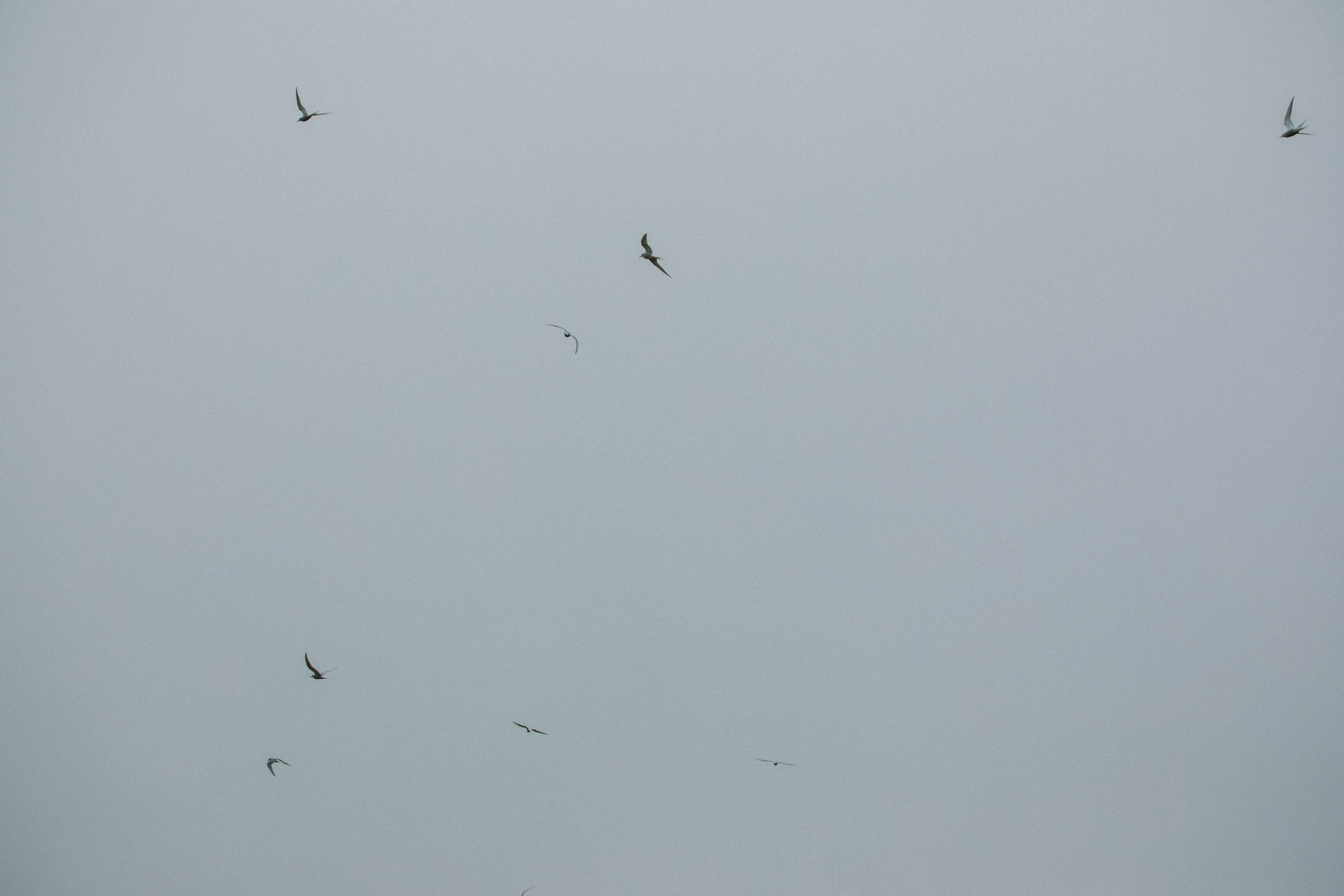 Кольский полуостров. Фотографирую для себя, своей семьи и друзей!