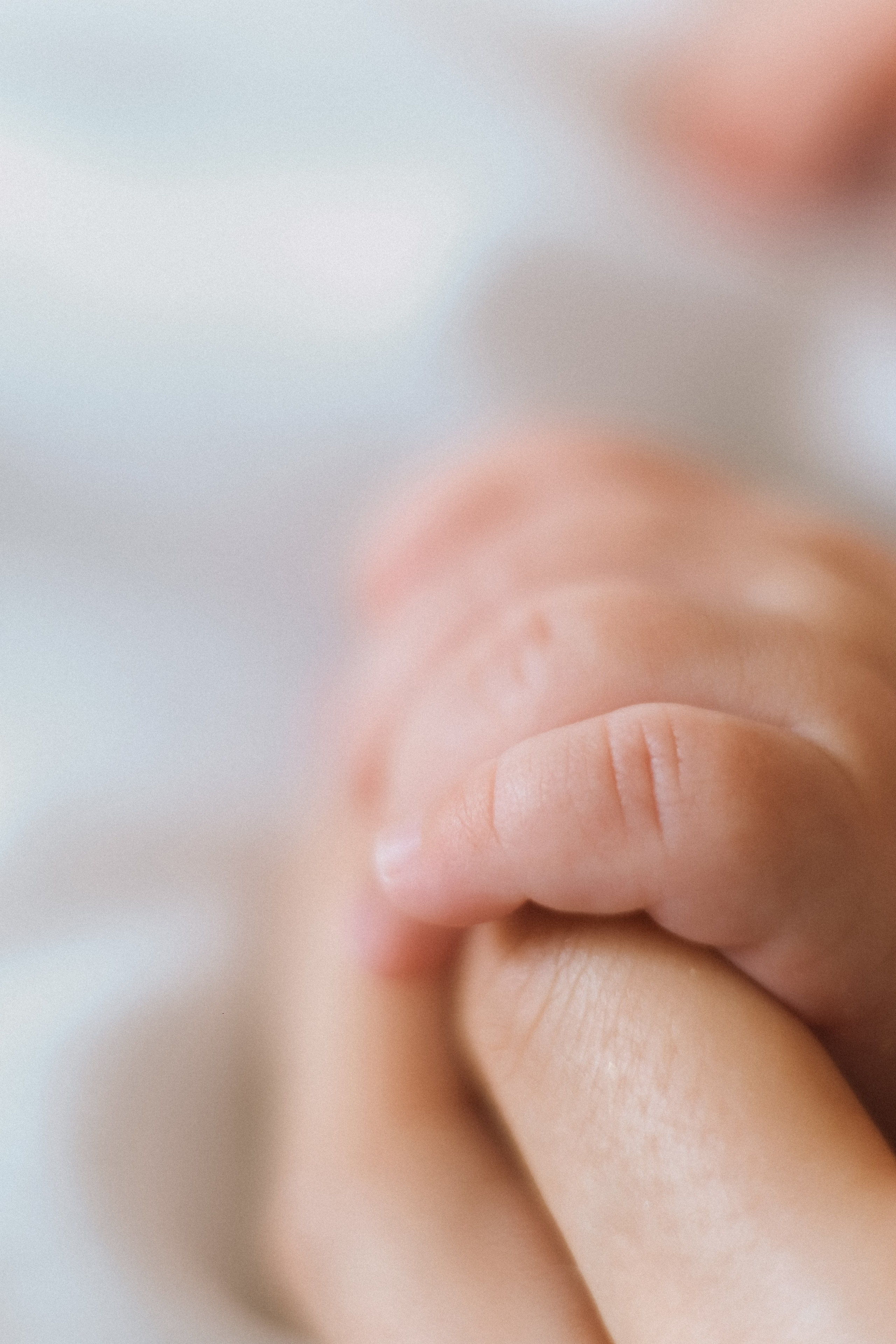 Ксюша и Миа. Семейный фотограф Москва