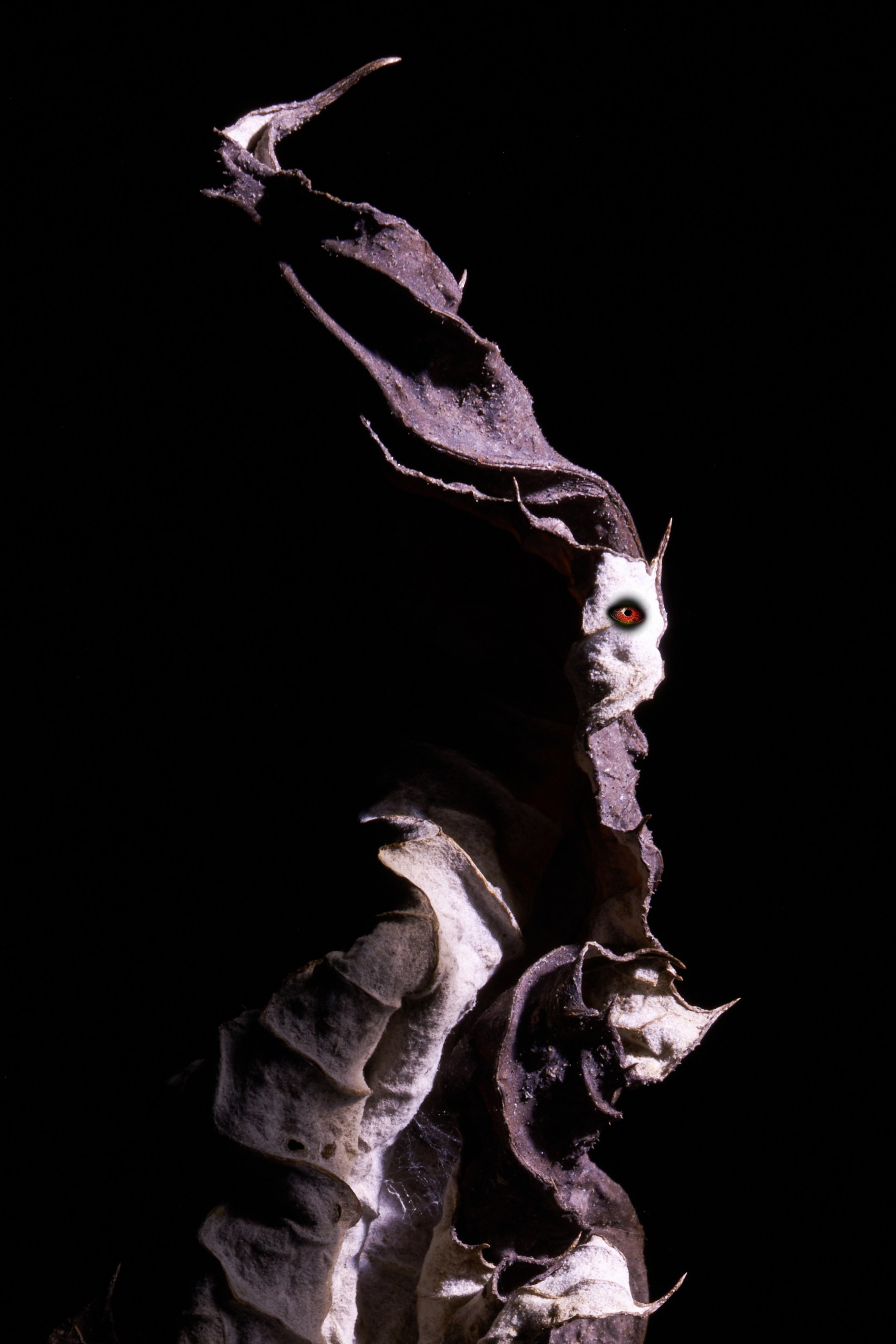 Милые Монстры или Тёмная Сторона. Репортажный Фотограф во Владивостоке и России Осипчук Дмитрий