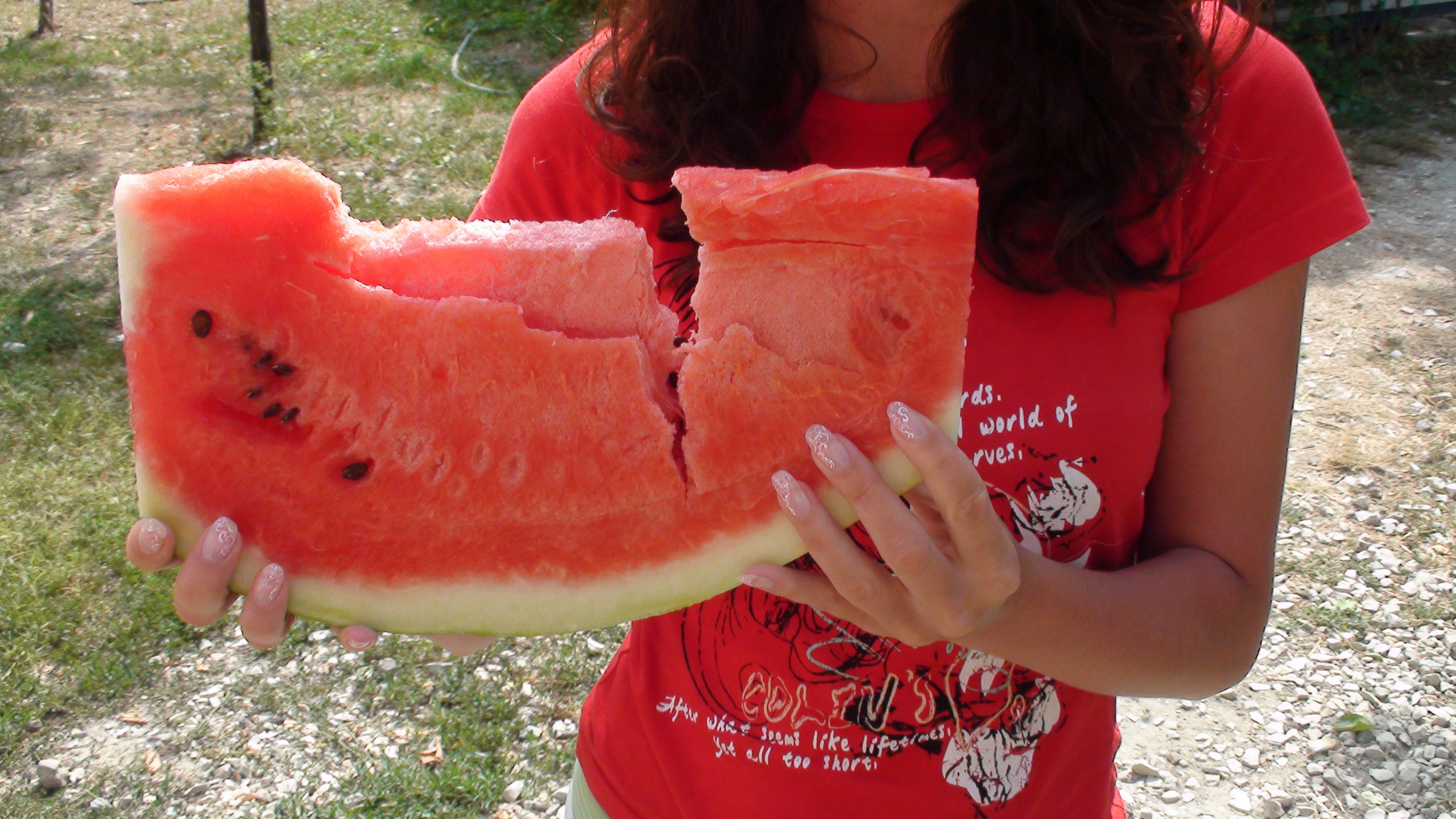 Отпуск 27.05-16.08. Семейный, Свадебный фотограф СПБ Питер— Романова Екатерина