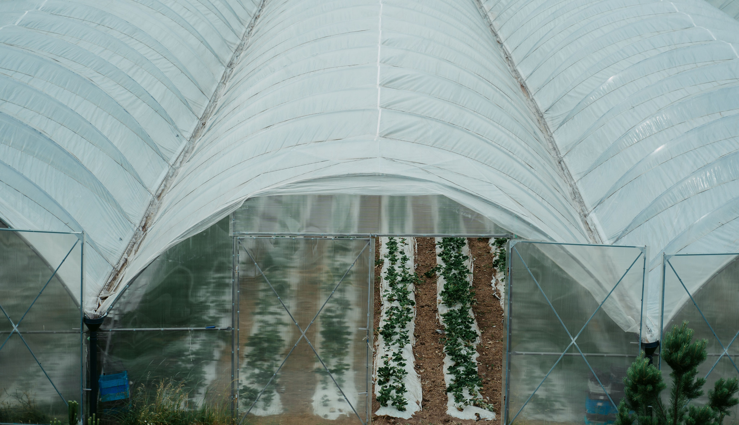 Гектария. Встреча лидеров мнений / 2023. Саша Копылов, фотограф в Казани