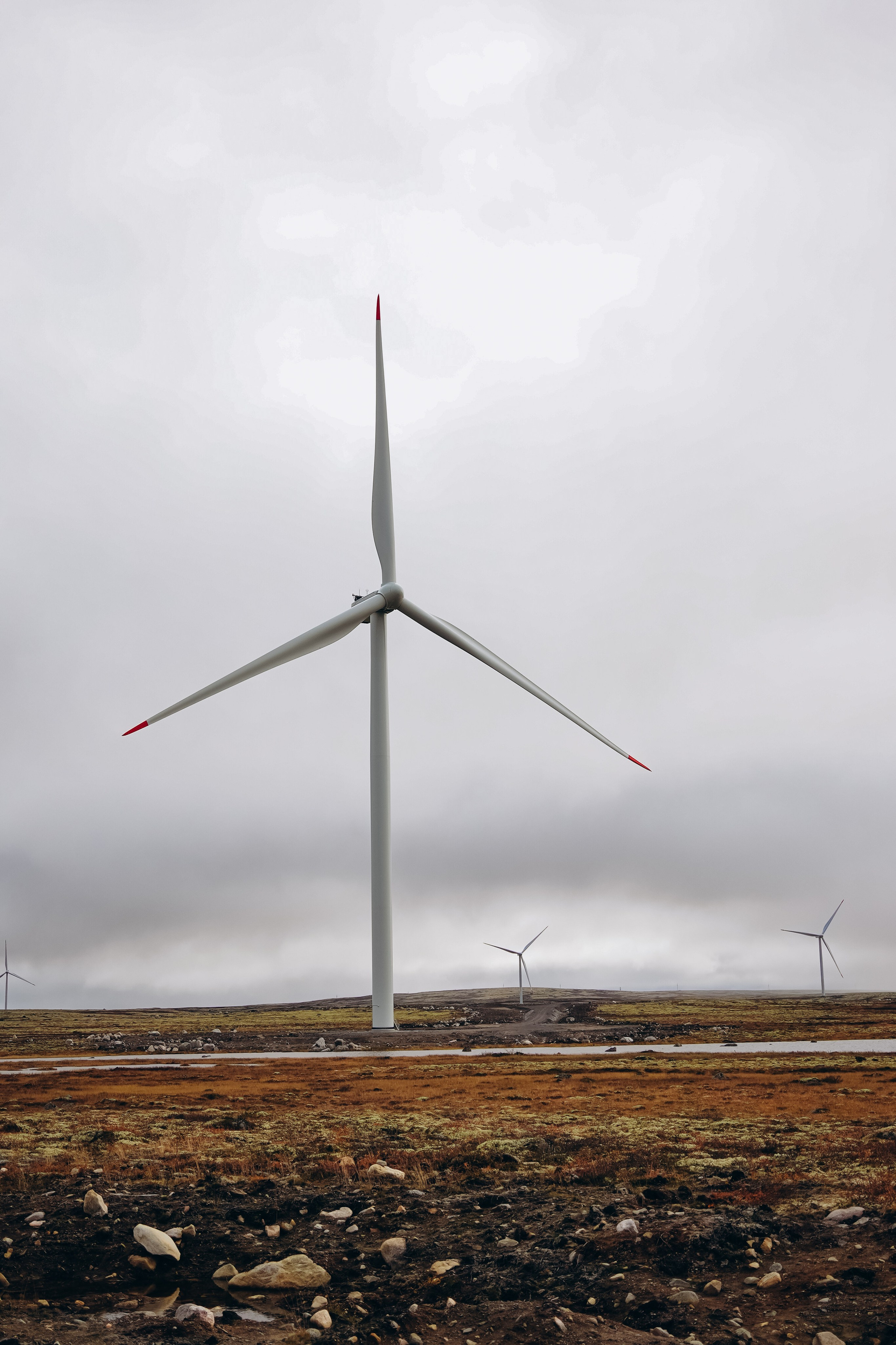 СЕВЕР. Event фотограф Степанова Александра