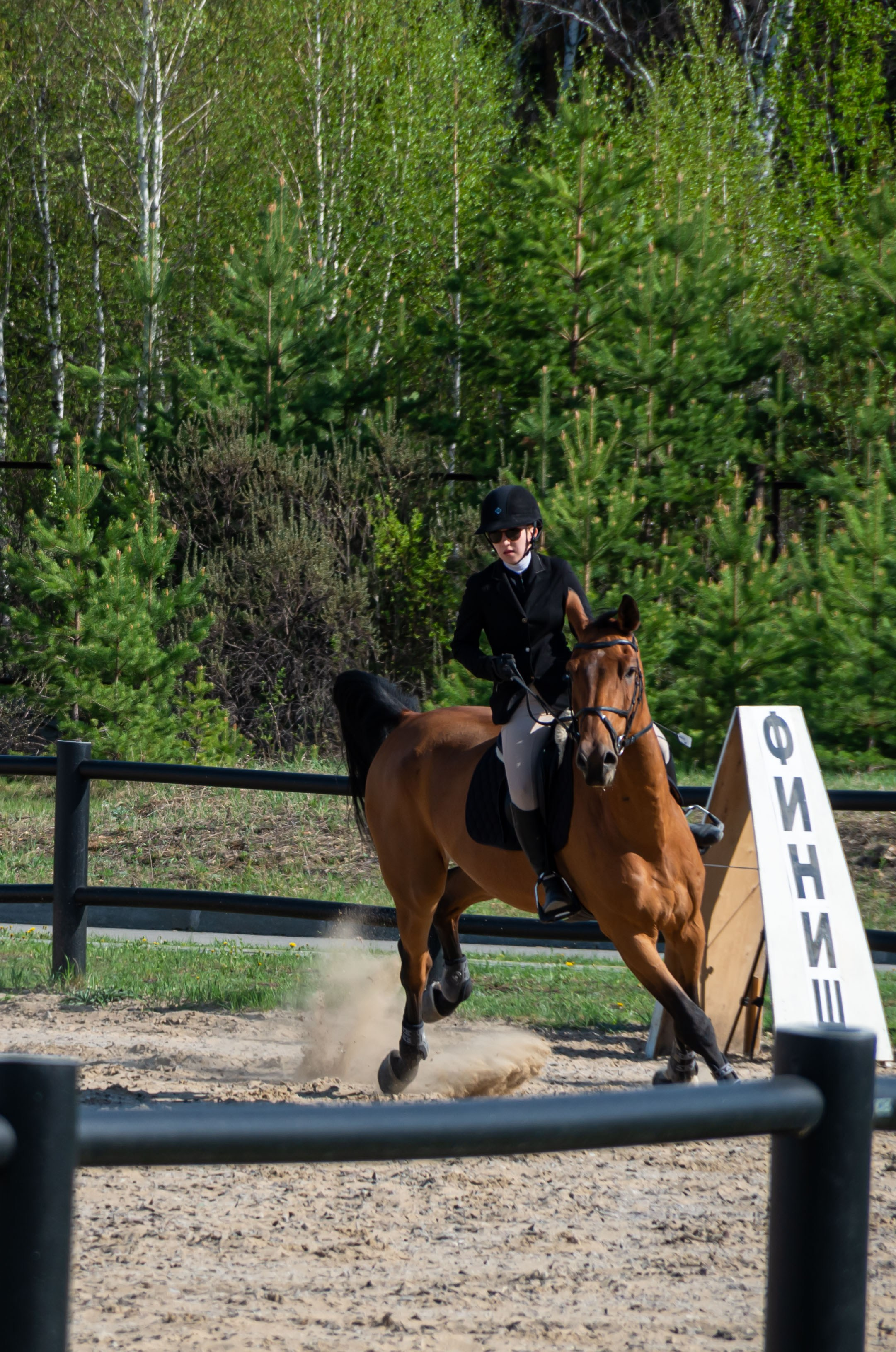 ДЕТИ & ЛОШАДИ. Фотограф Марина Доглядная Челябинск фотосессии с лошадьми, мотоциклами
