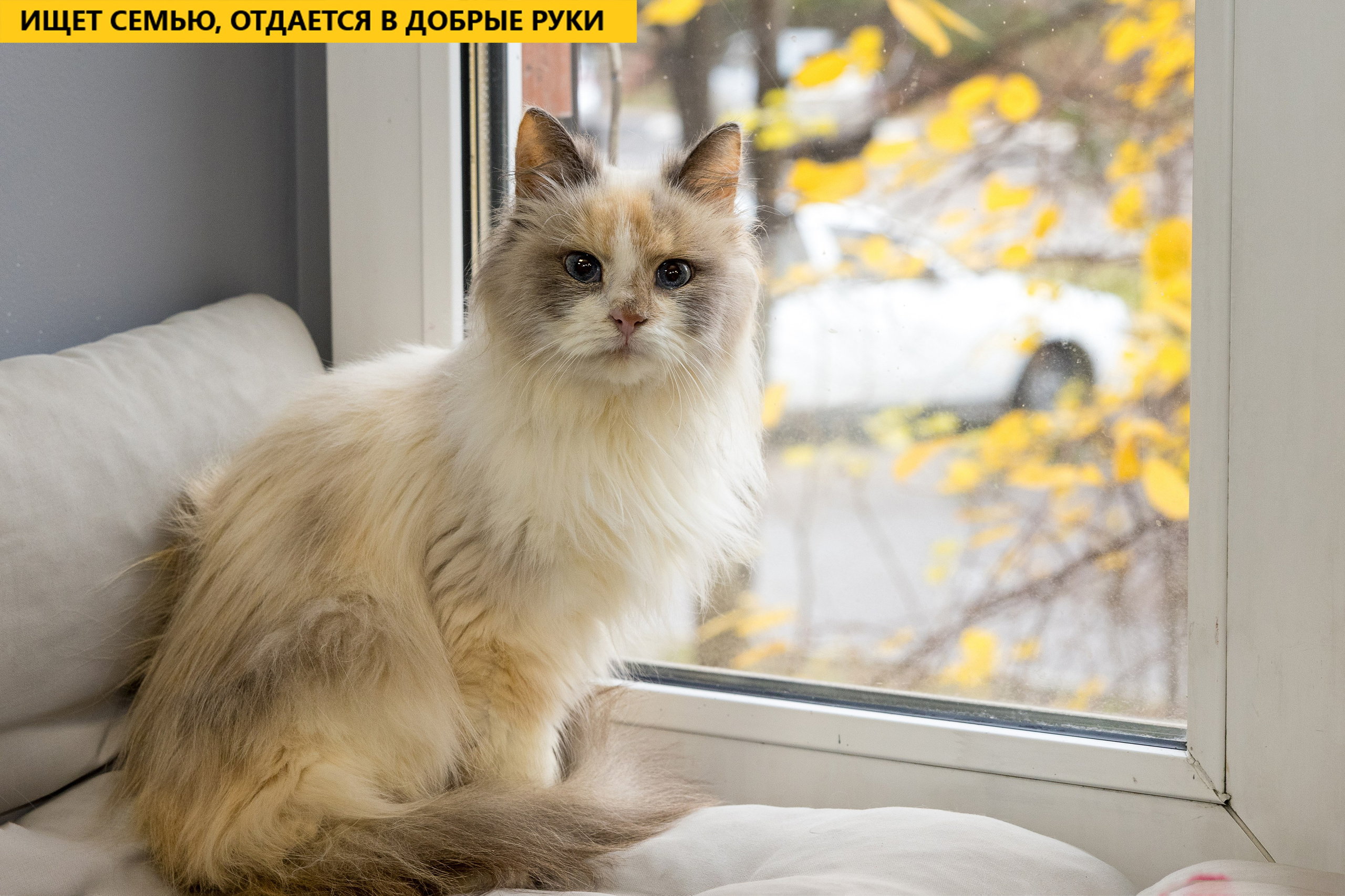 Рекламная съемка в Москве. Геннадий Степанов —фотограф в Москве