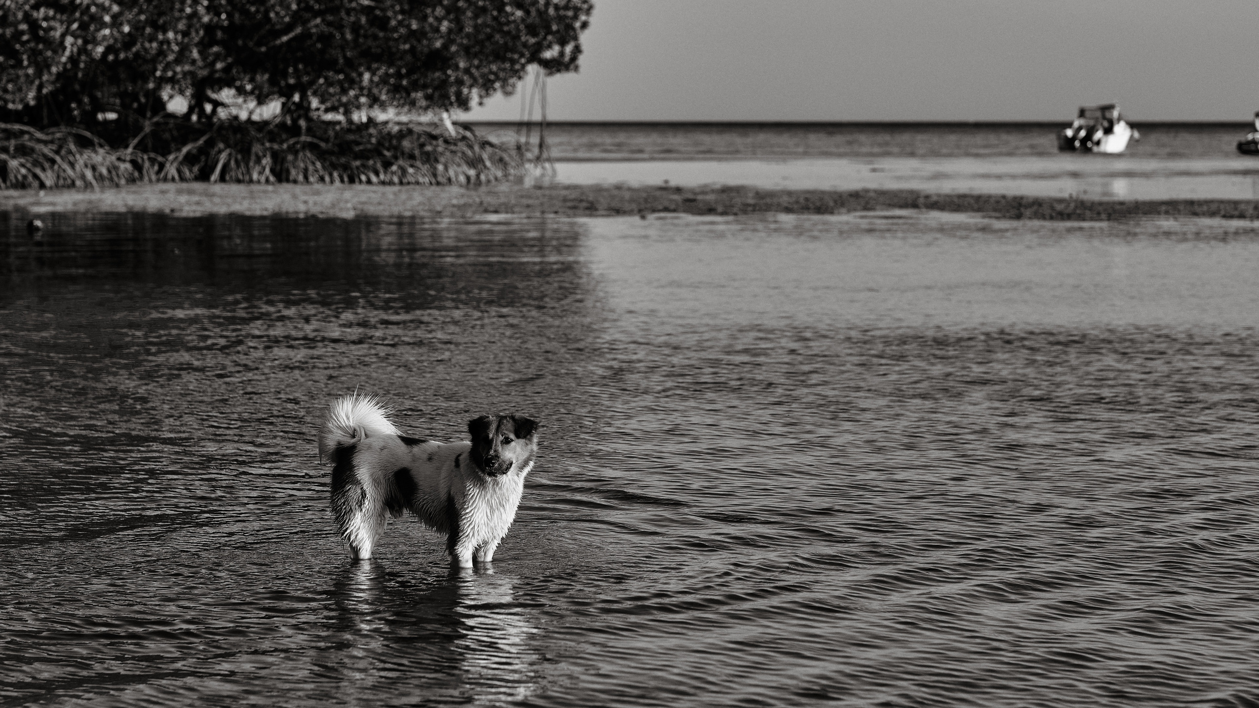 Серия чёрно-белых фотографий из Таиланда. Юрий Березнюк. Фотожурналистика
