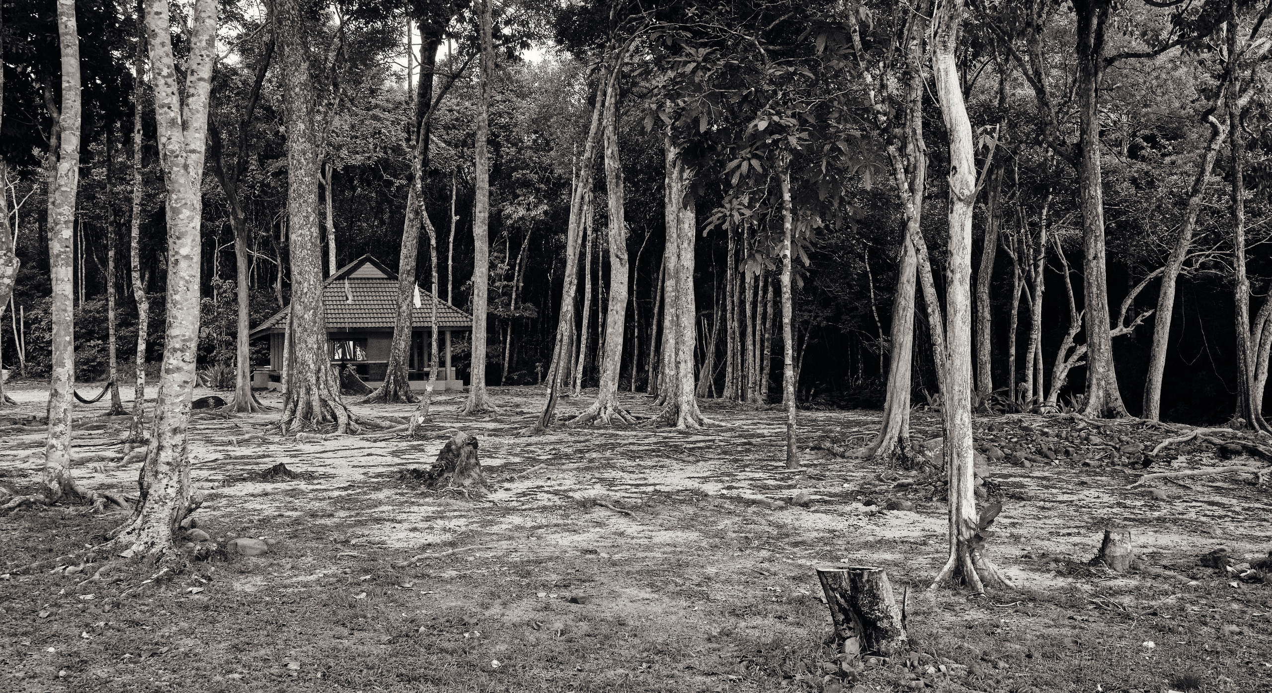 Серия чёрно-белых фотографий из Таиланда. Юрий Березнюк. Фотожурналистика