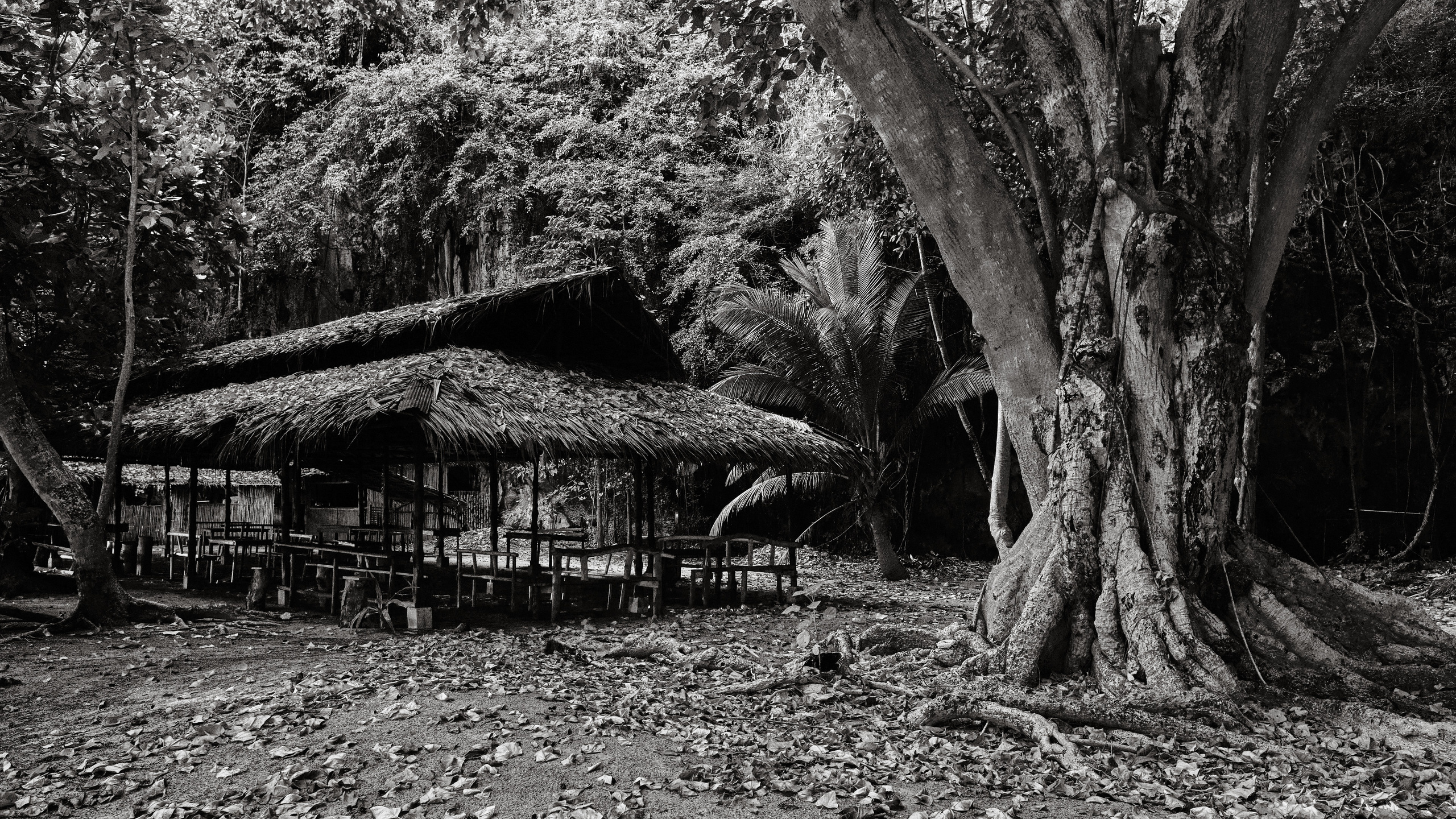 Серия чёрно-белых фотографий из Таиланда. Юрий Березнюк. Фотожурналистика