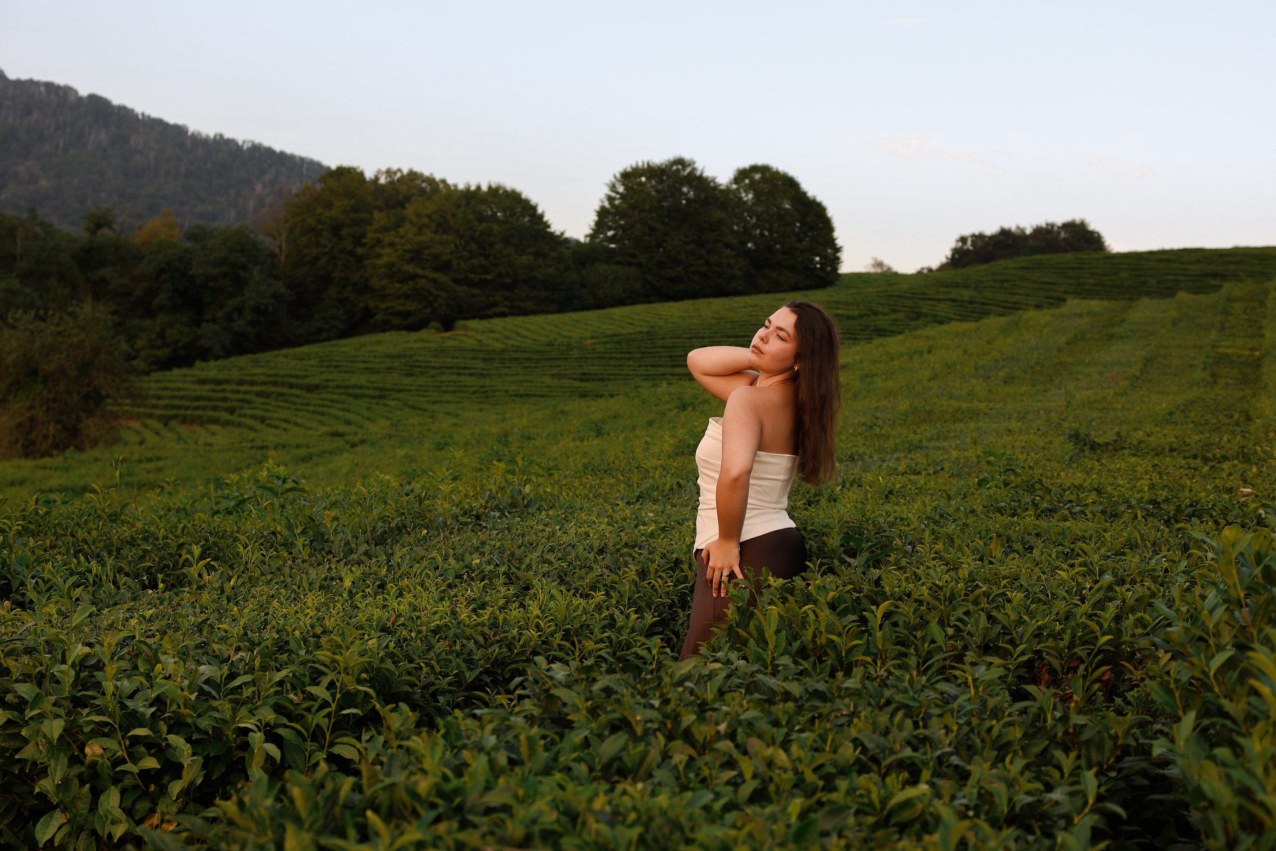 ЧАЙНЫЕ ПЛАНТАЦИИ. Фотограф Москва Оля Олбимак