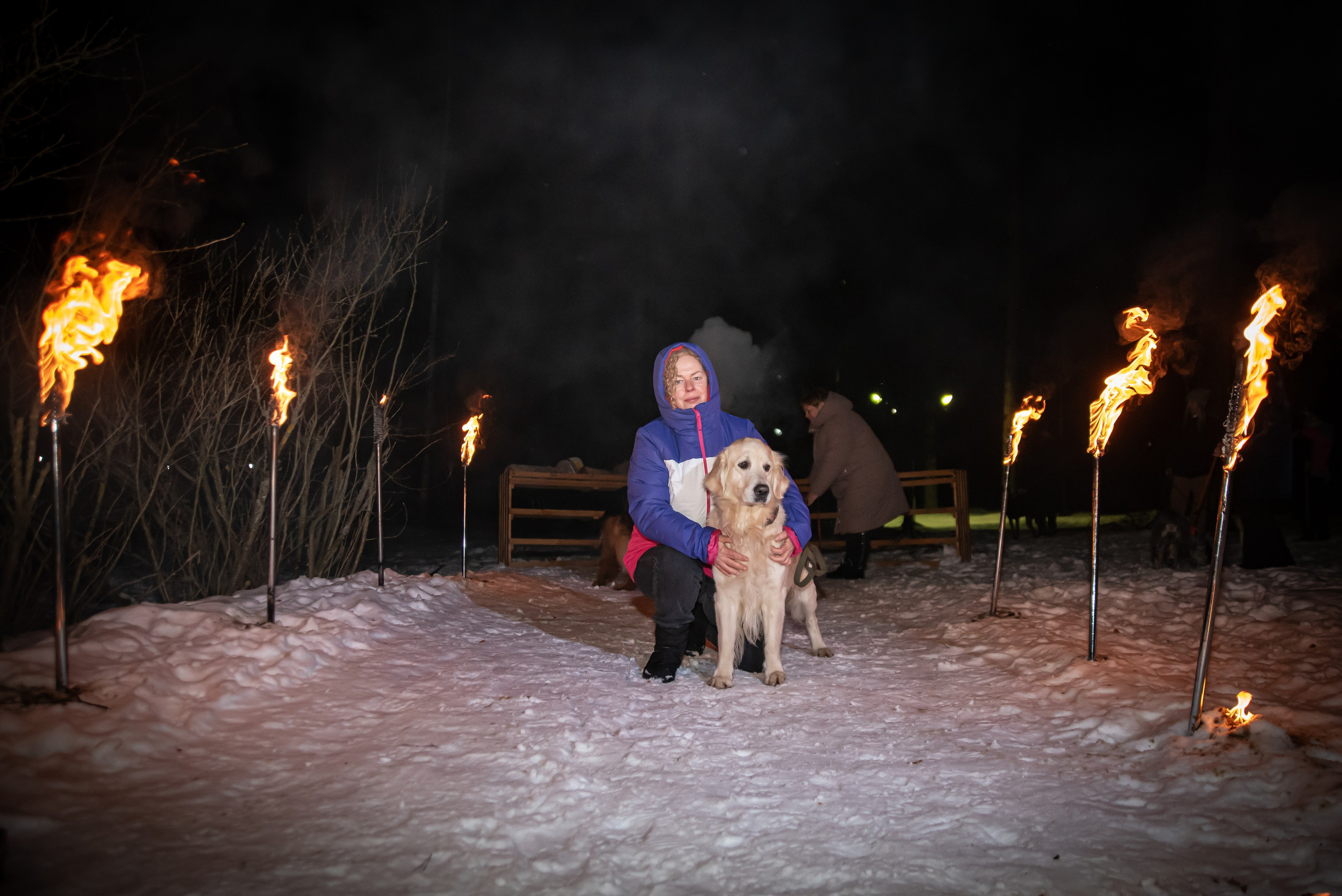 Фотосъёмка с собаками в Кинологическом лагере. Фотограф Макс Огурцов в Нижнем Новгороде